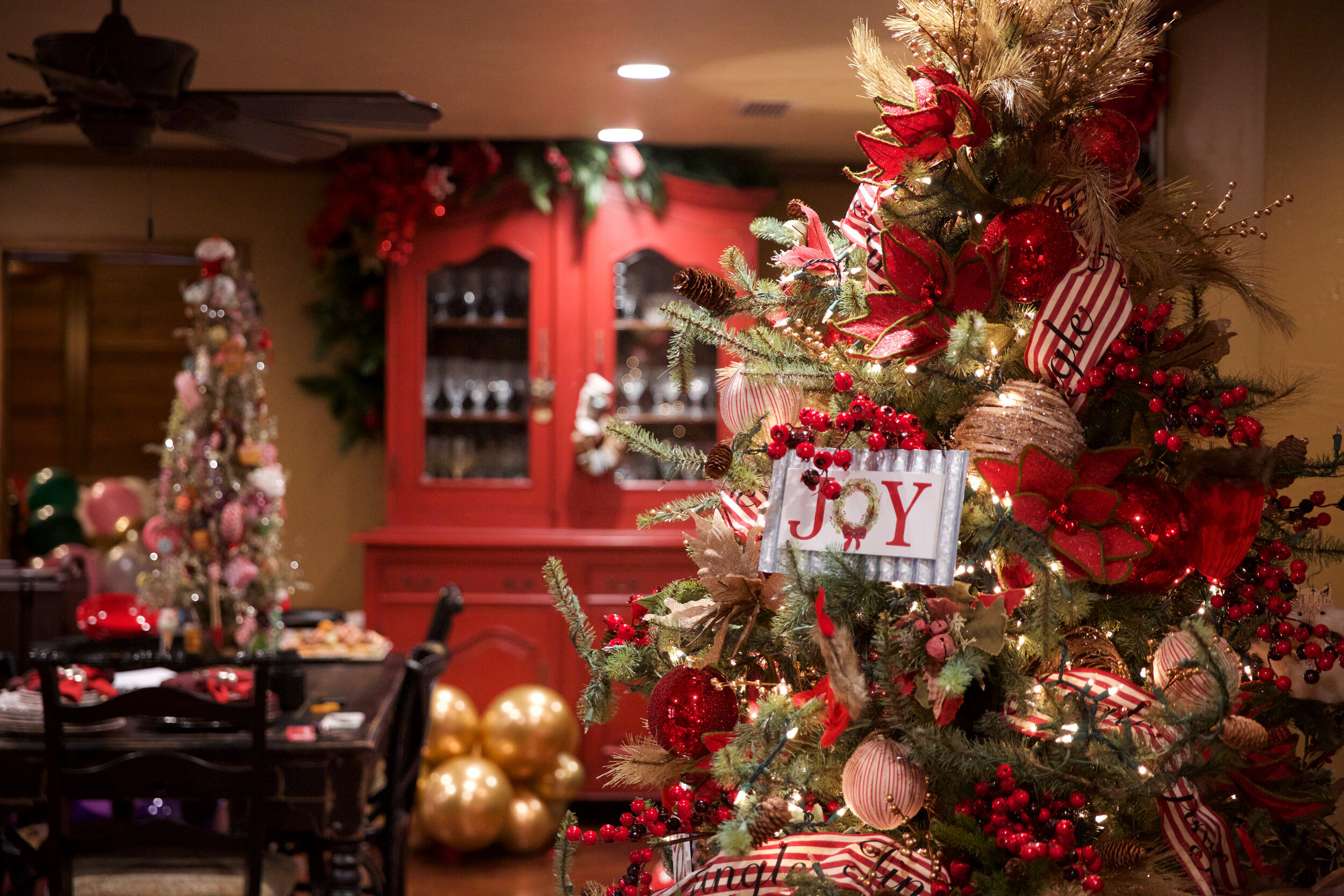foxtales Christmas 2019-0013.jpg