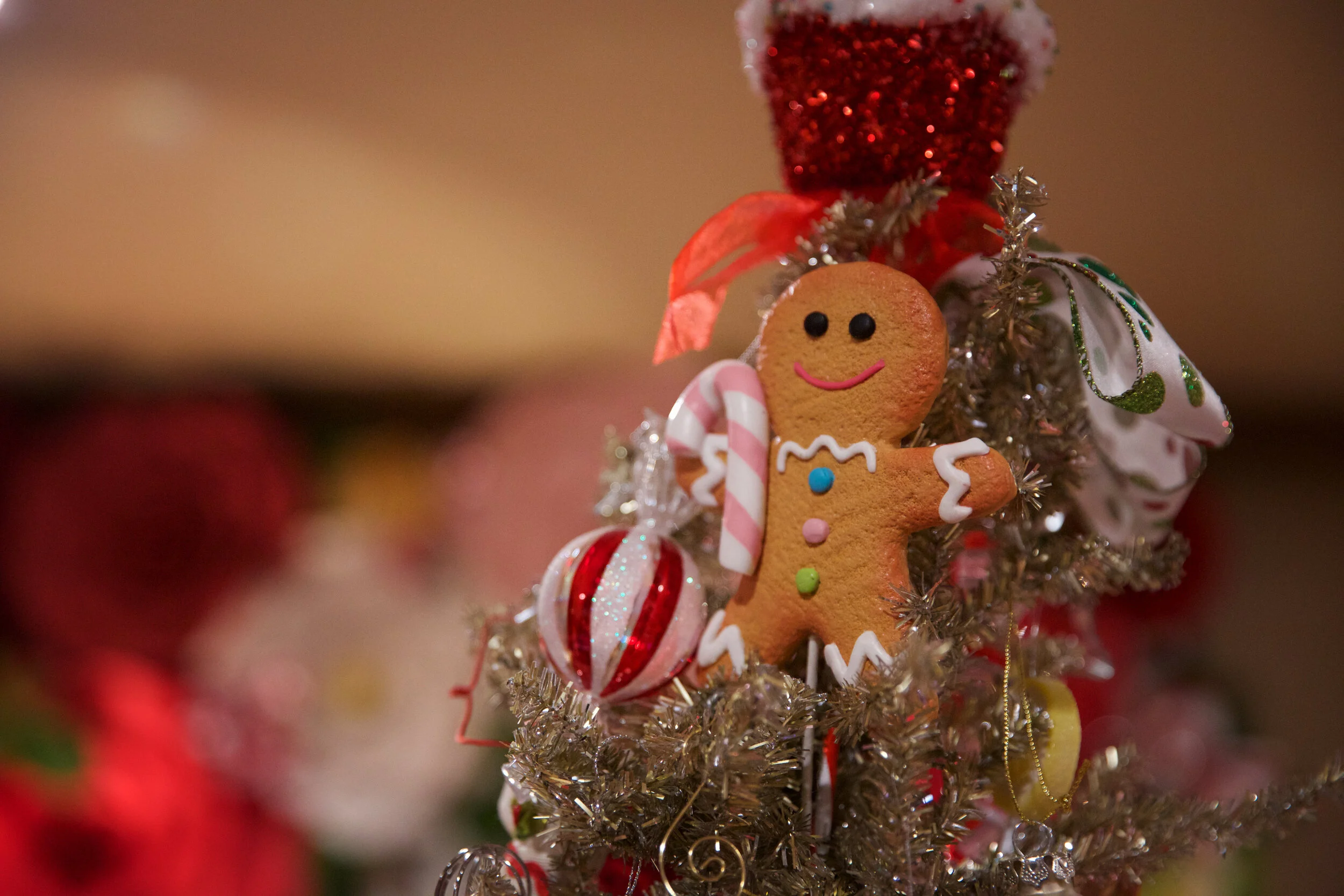 foxtales Christmas 2019-0016.jpg