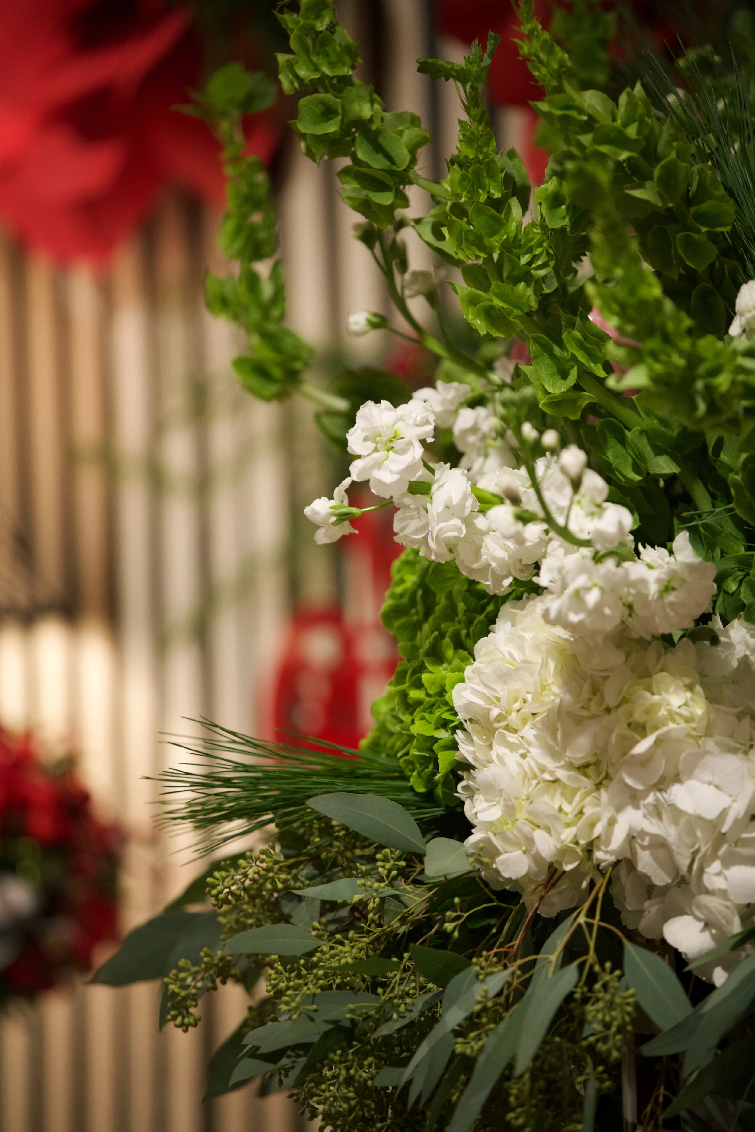 foxtales Christmas 2019-0045.jpg