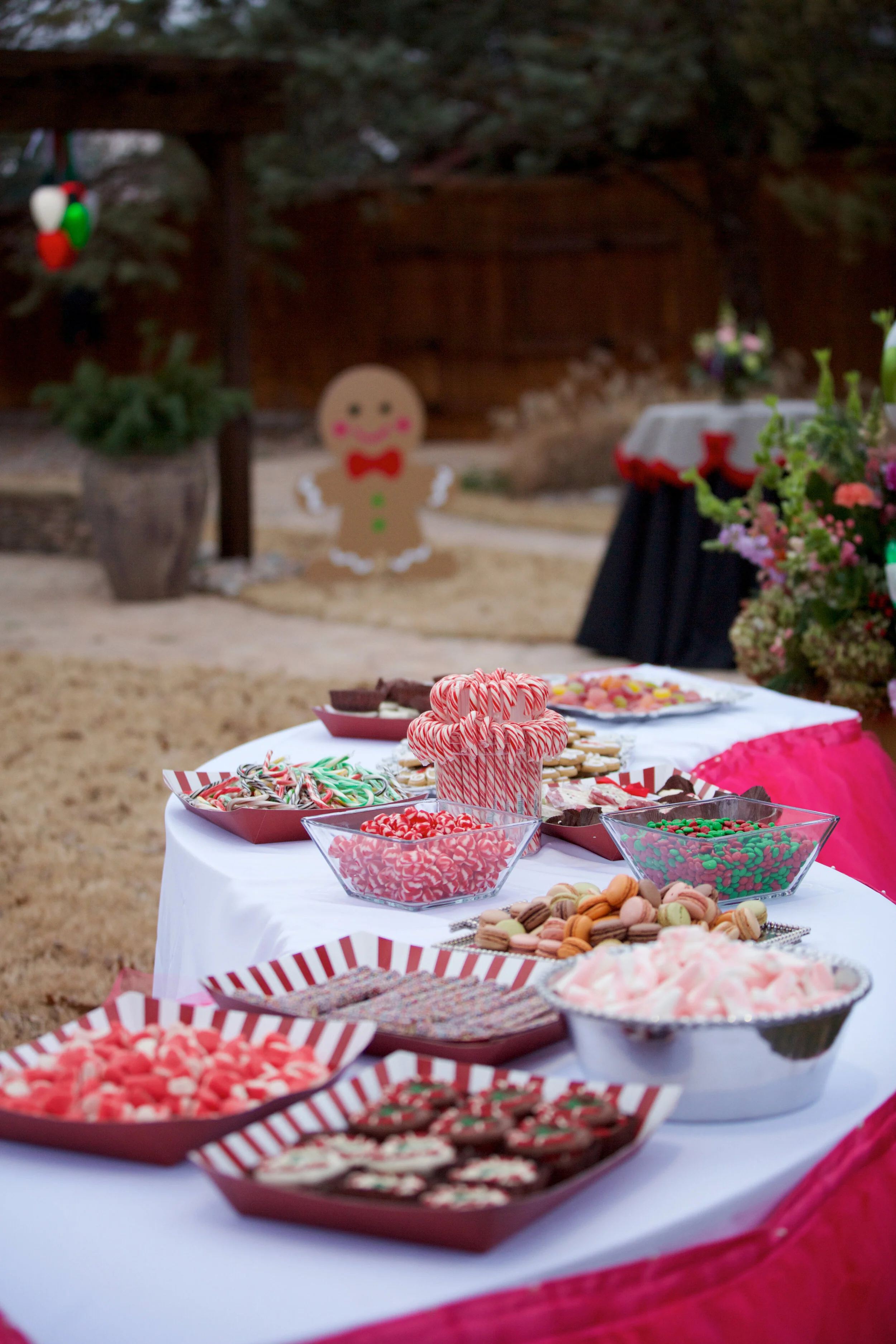 foxtales Christmas 2019-0058.jpg