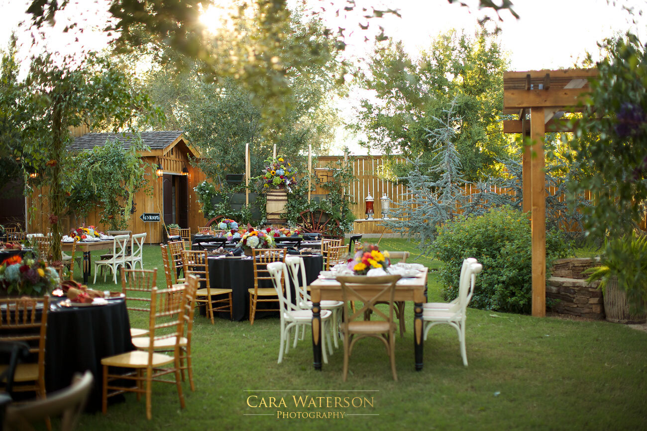 CWP_0484.jpg