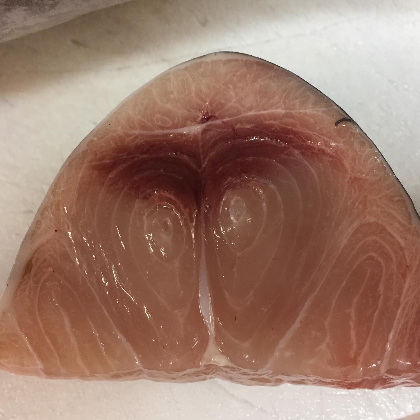 #1 swordfish in today.  seaproductsnc.com