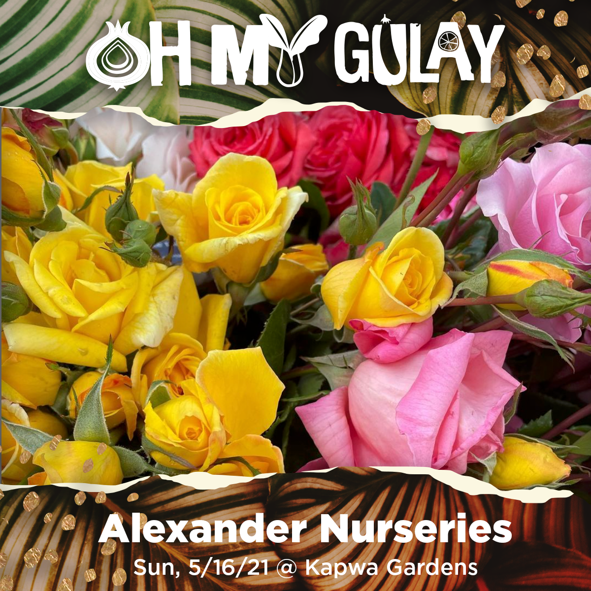 Alexander-Nurseries.png