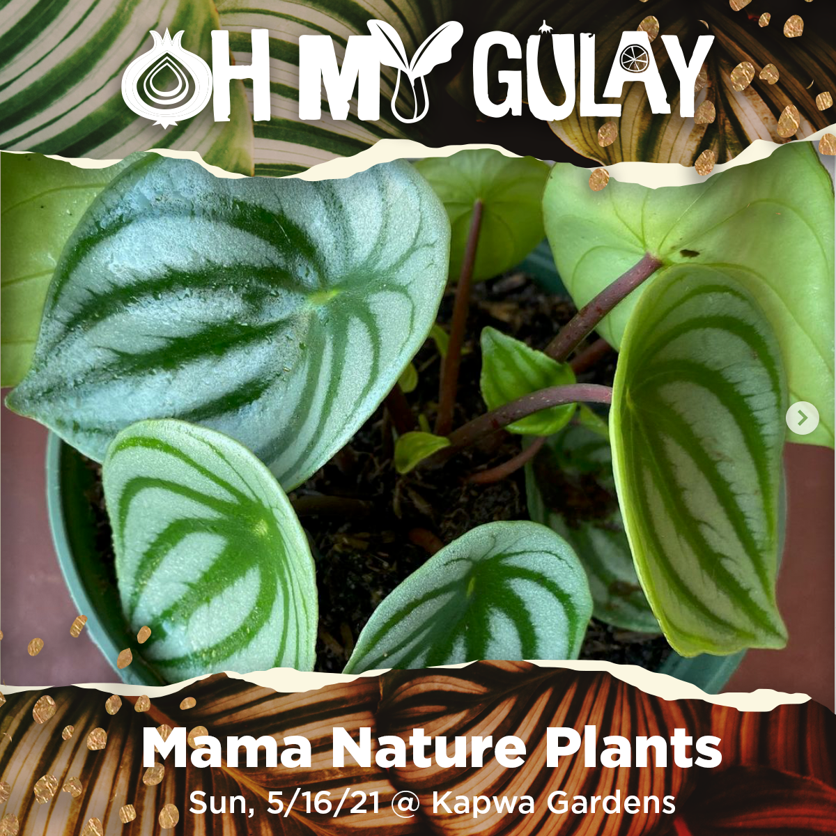 Mama-Nature-Plants.png