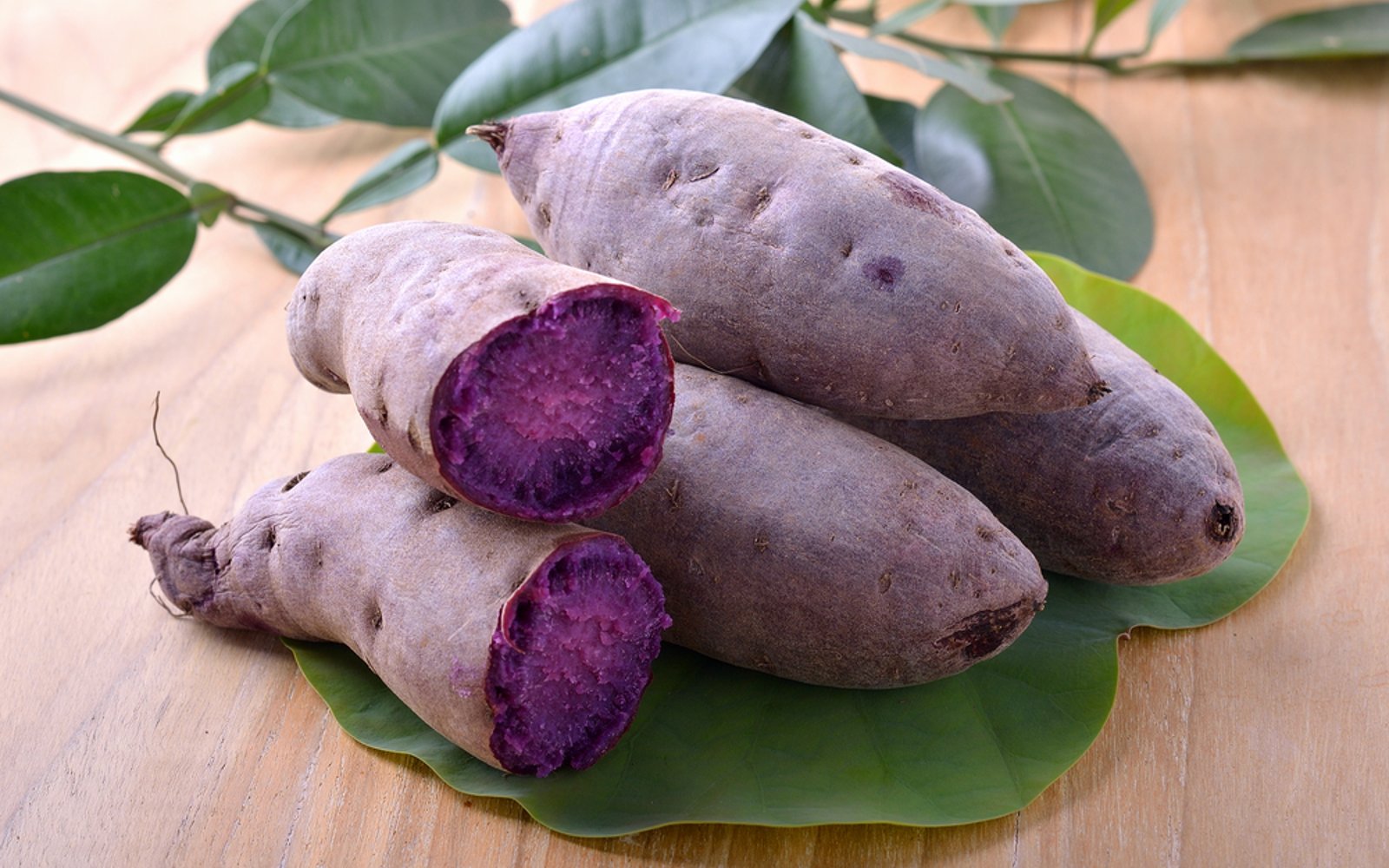 More Than a Trend: The History of Ube and What It Means to the Filipino  People
