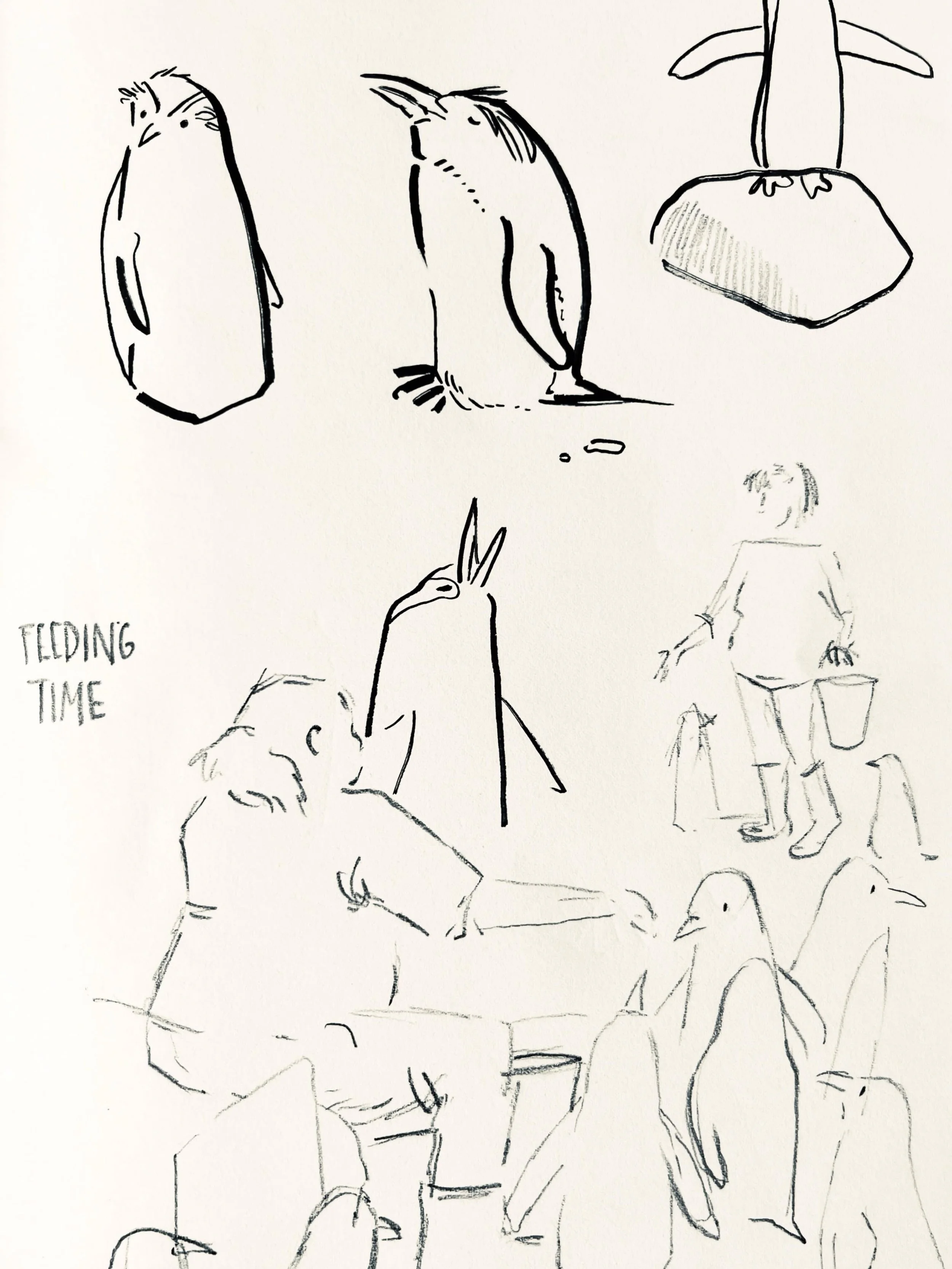 A page from my sketchbook of penguin feeding time @edinburghzoo ❤️🐧 

Loving all their different personalities! 

#sketchbook #Edinburghzoo #feedingtime #picturebookmaker #penguin