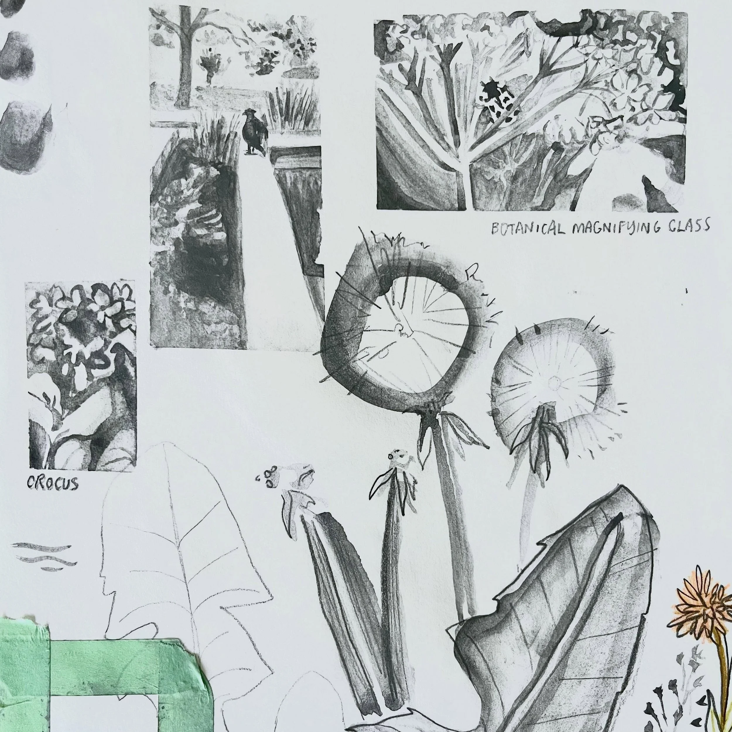 Enjoying @inverleith_park wildlife through my sketchbook. 

#sketchbook #wildlife #inverleithpark