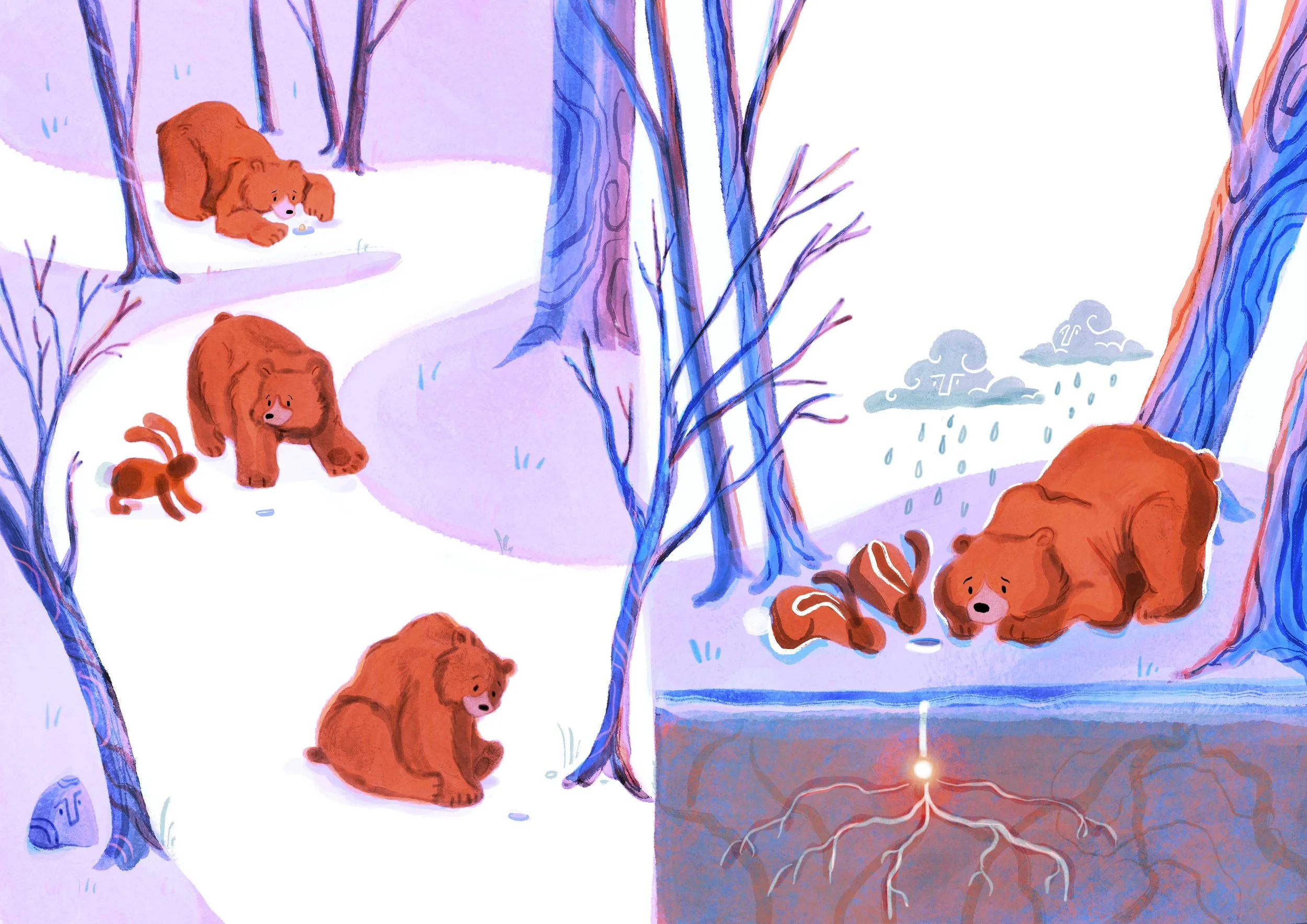 2-Bear's-Wild-Idea-for-web.jpg