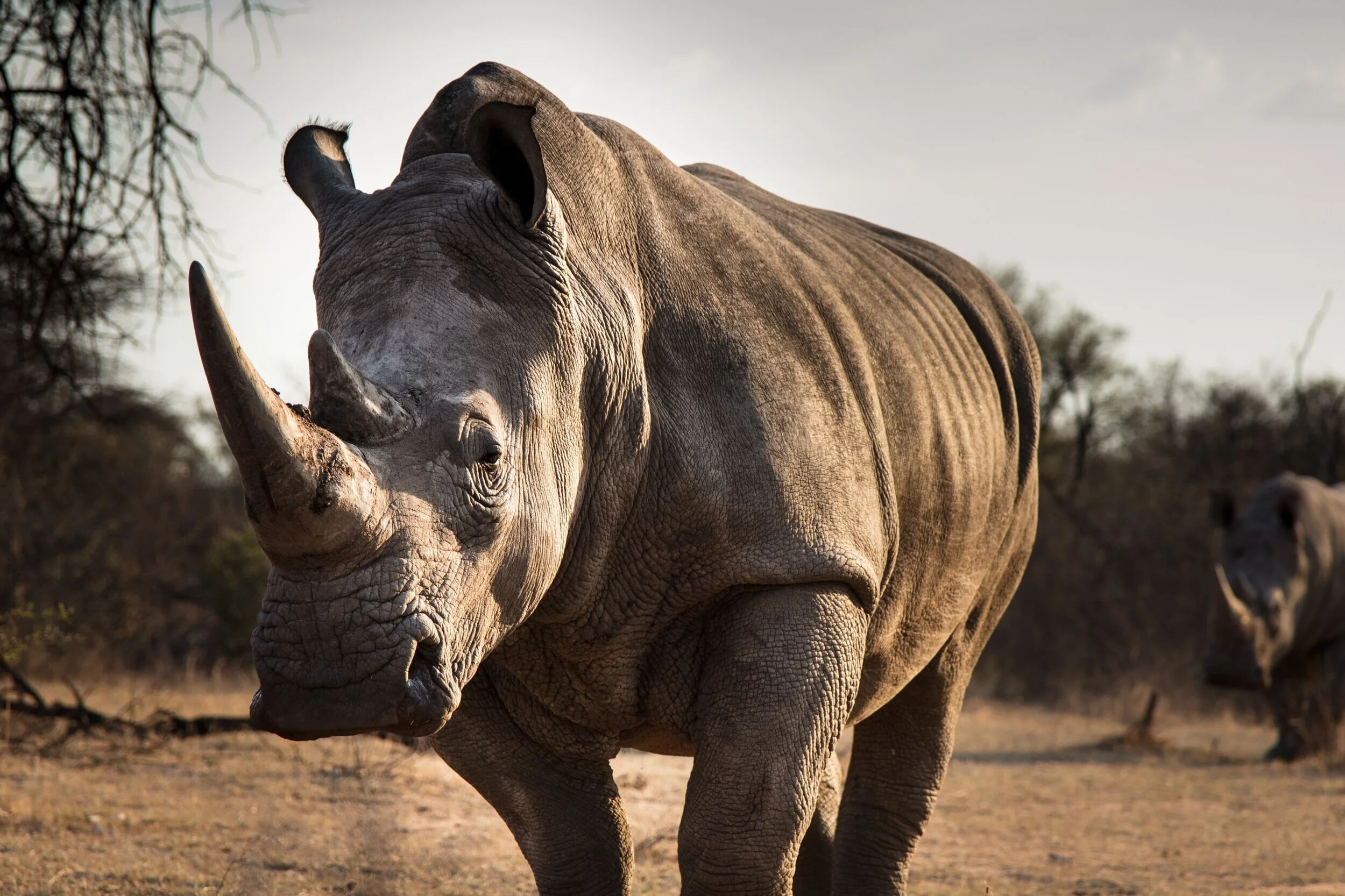 European Oocyte Biology Research Innovative Training Network (EUROVA)