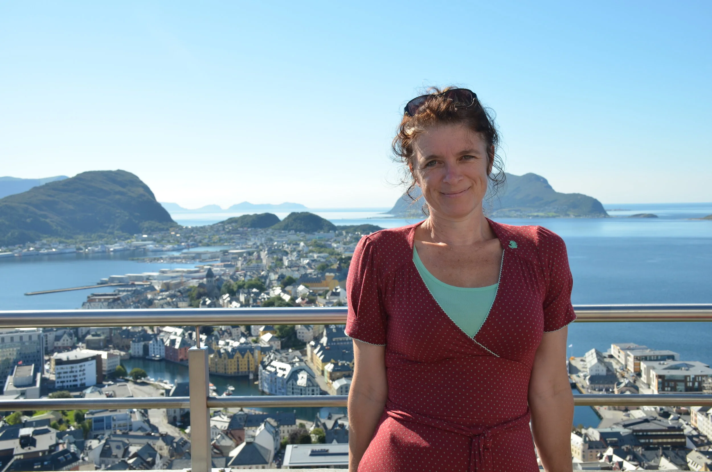 Professor Ann Van Soom