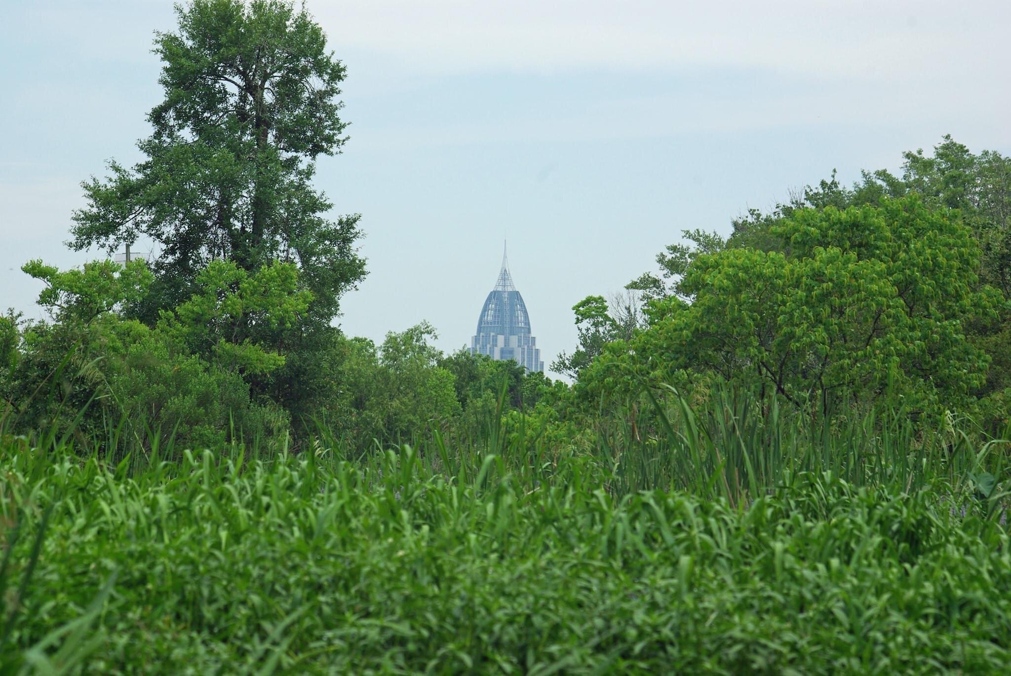 Mobile Skyline over water.JPG