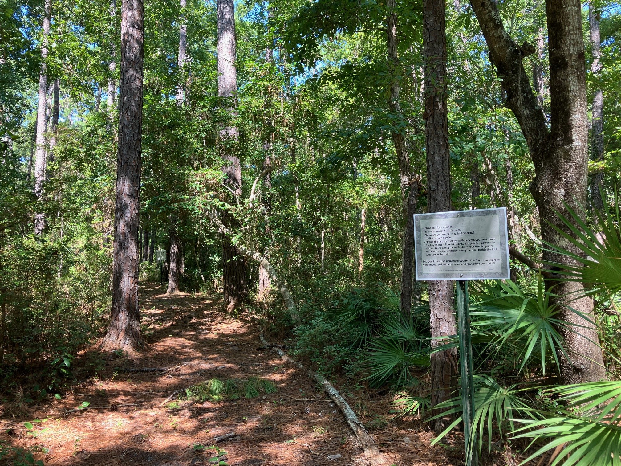 Beckwith Trail 1.jpg