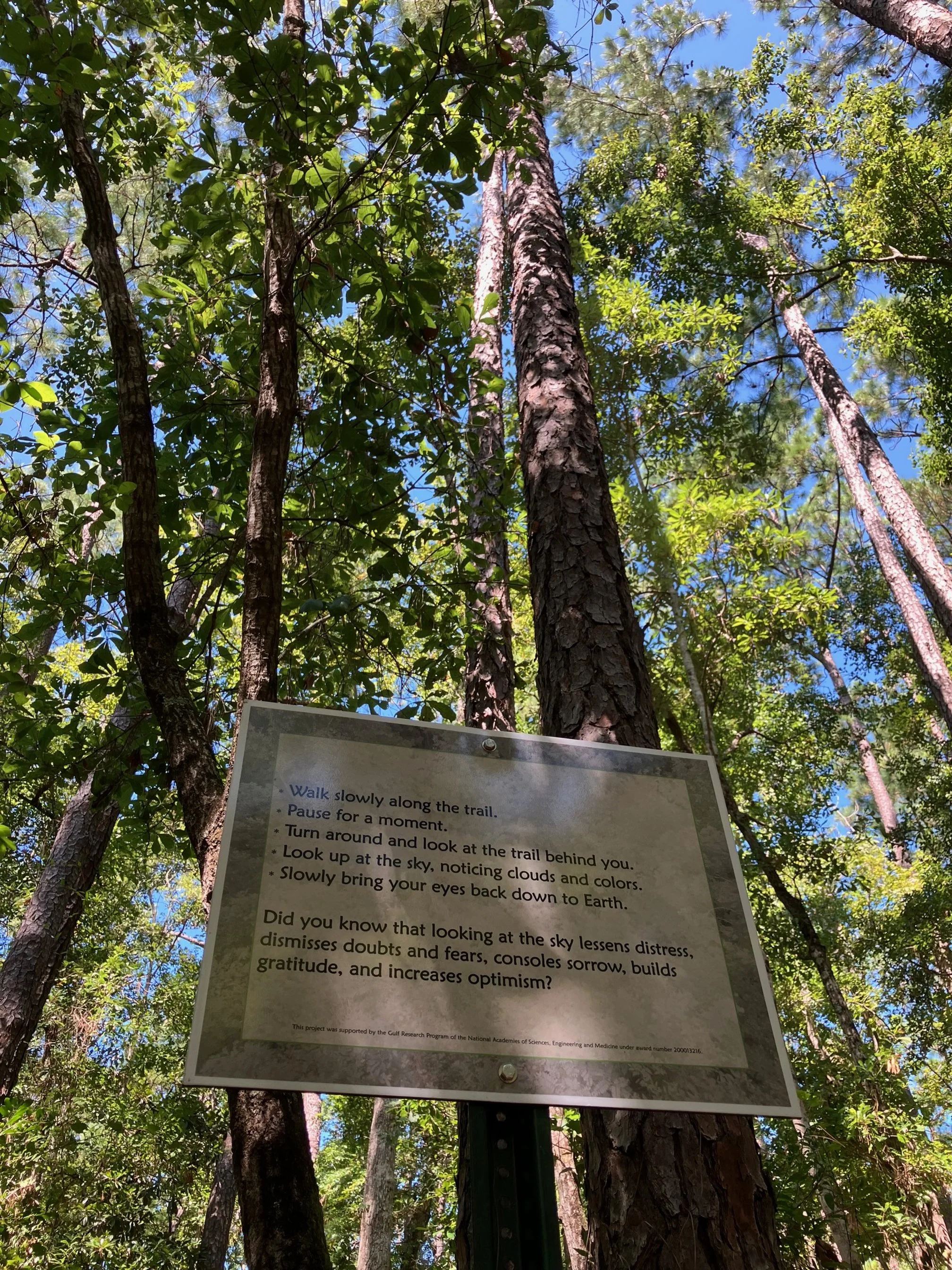 Beckwith Trail 2.jpg