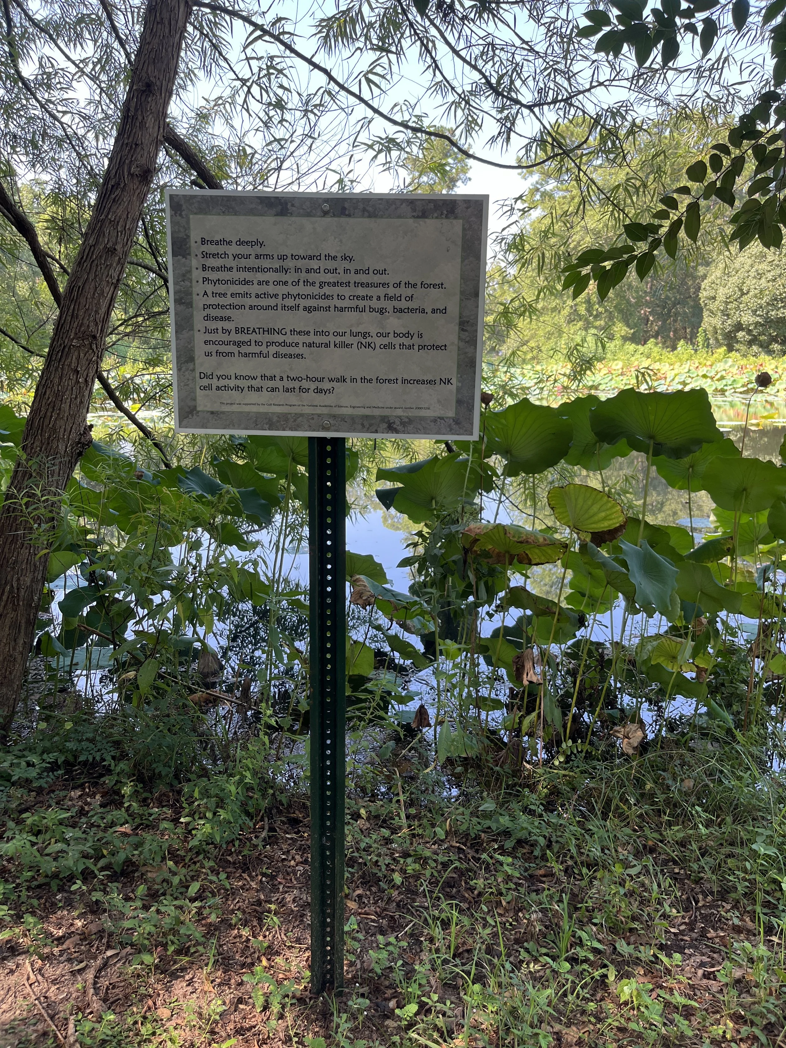 Japanese Garden Trail 2.JPG