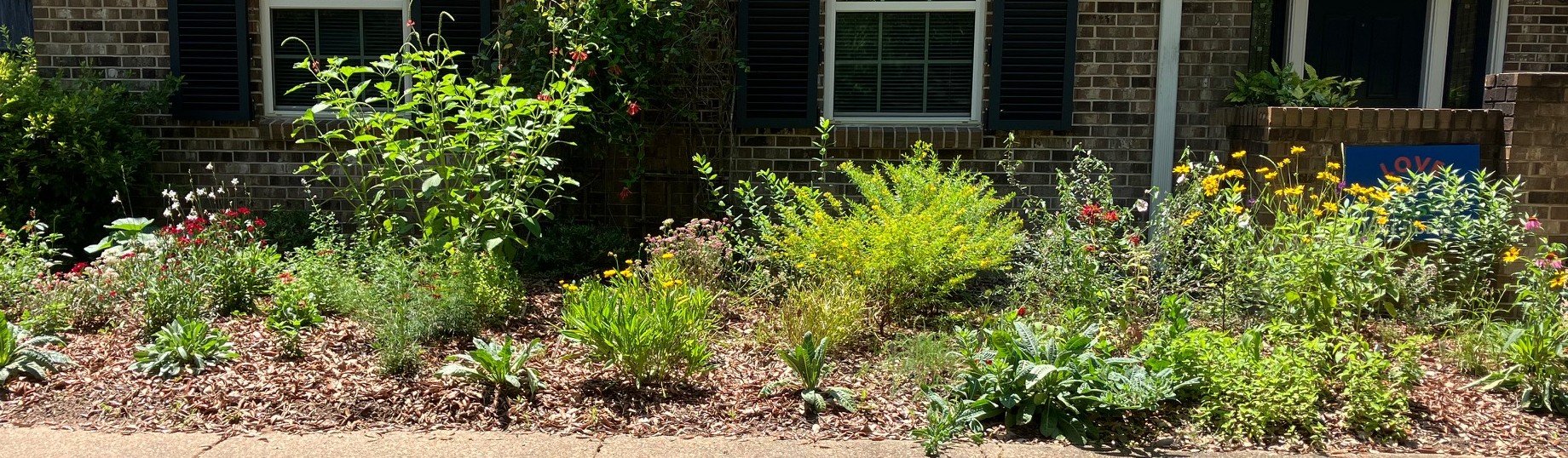 Native Plant Pollinator Gardens Project