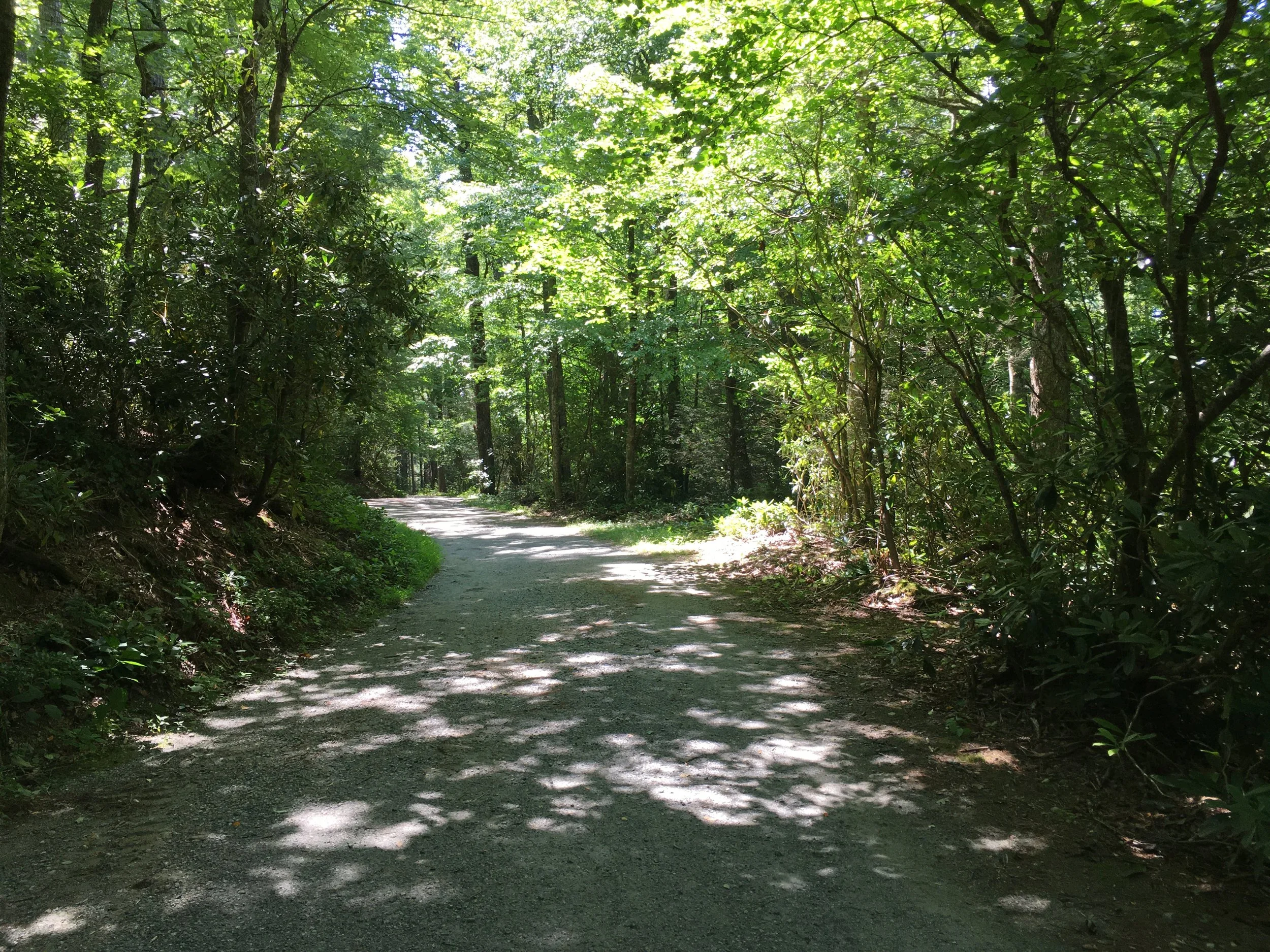 IMG_5033.JPG