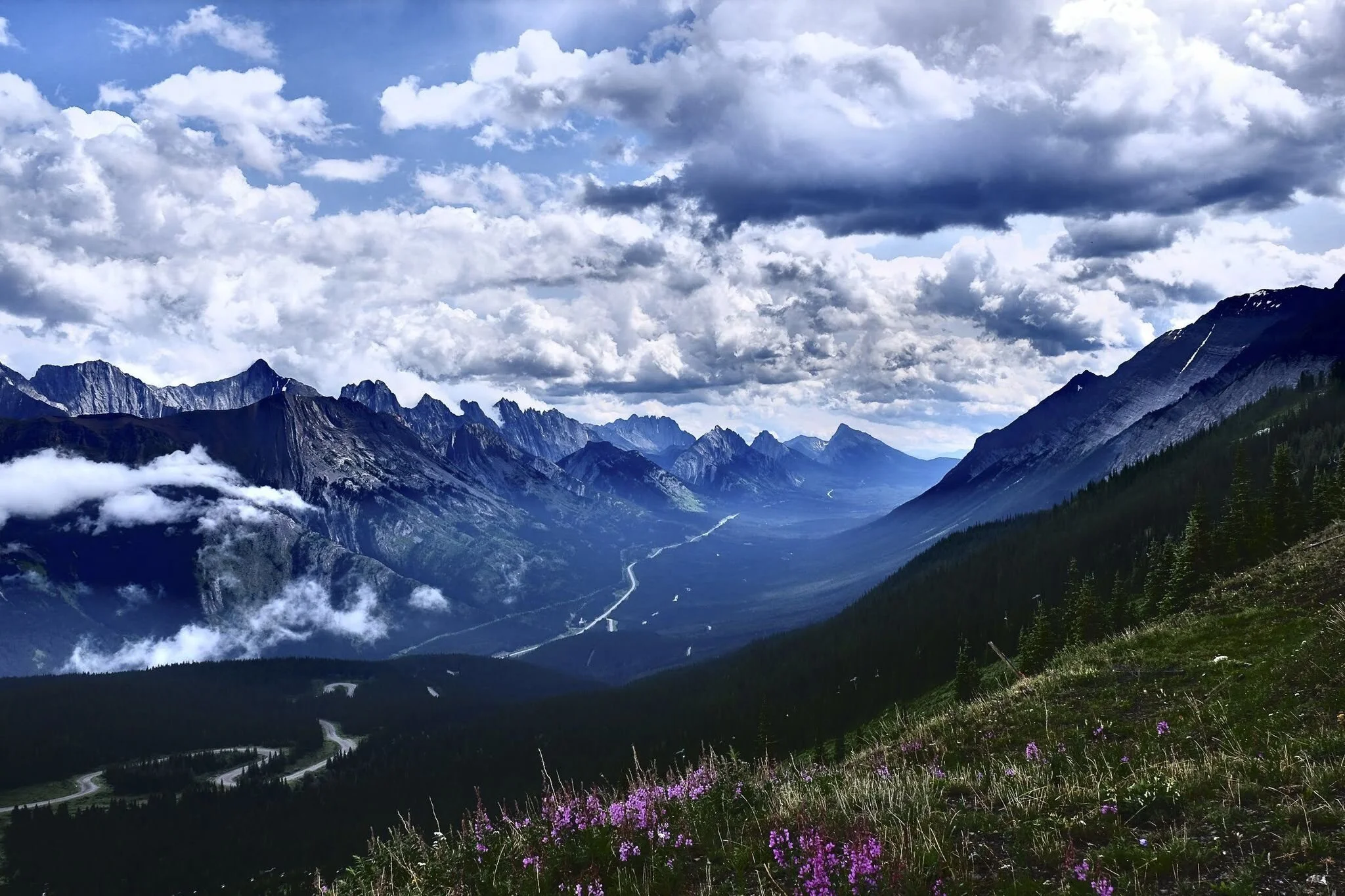 3467B9ED-5557-4F1C-8045-F3B23D49D121.jpeg