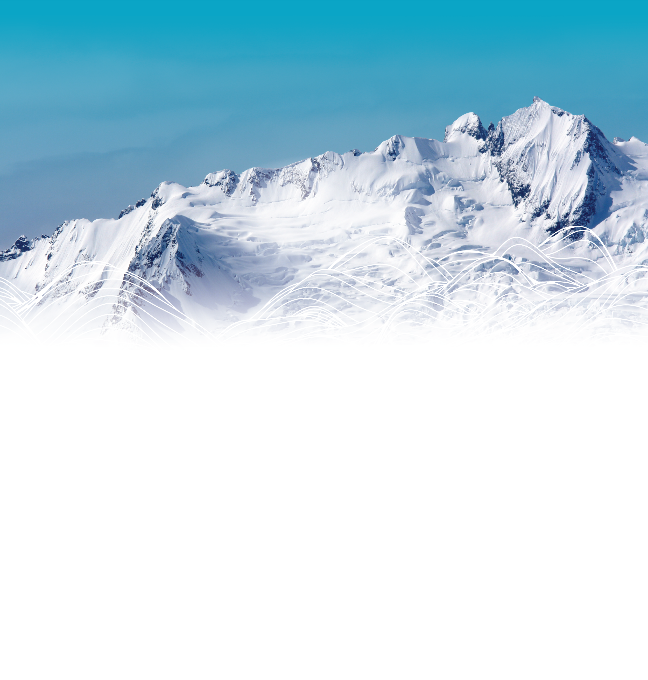Rok-Blog-Banner-1.2.png