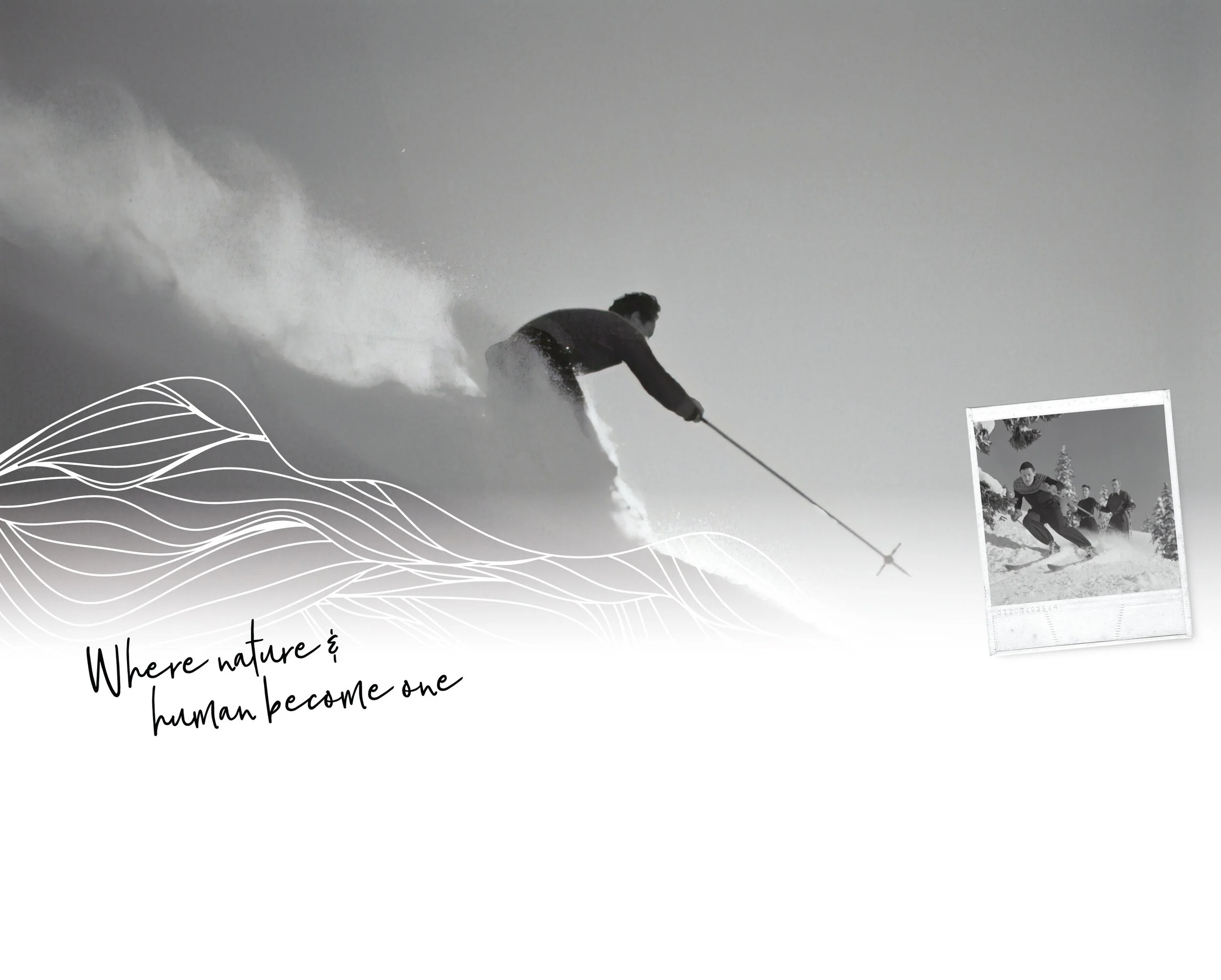 Rok-Press-Banner-2.jpg