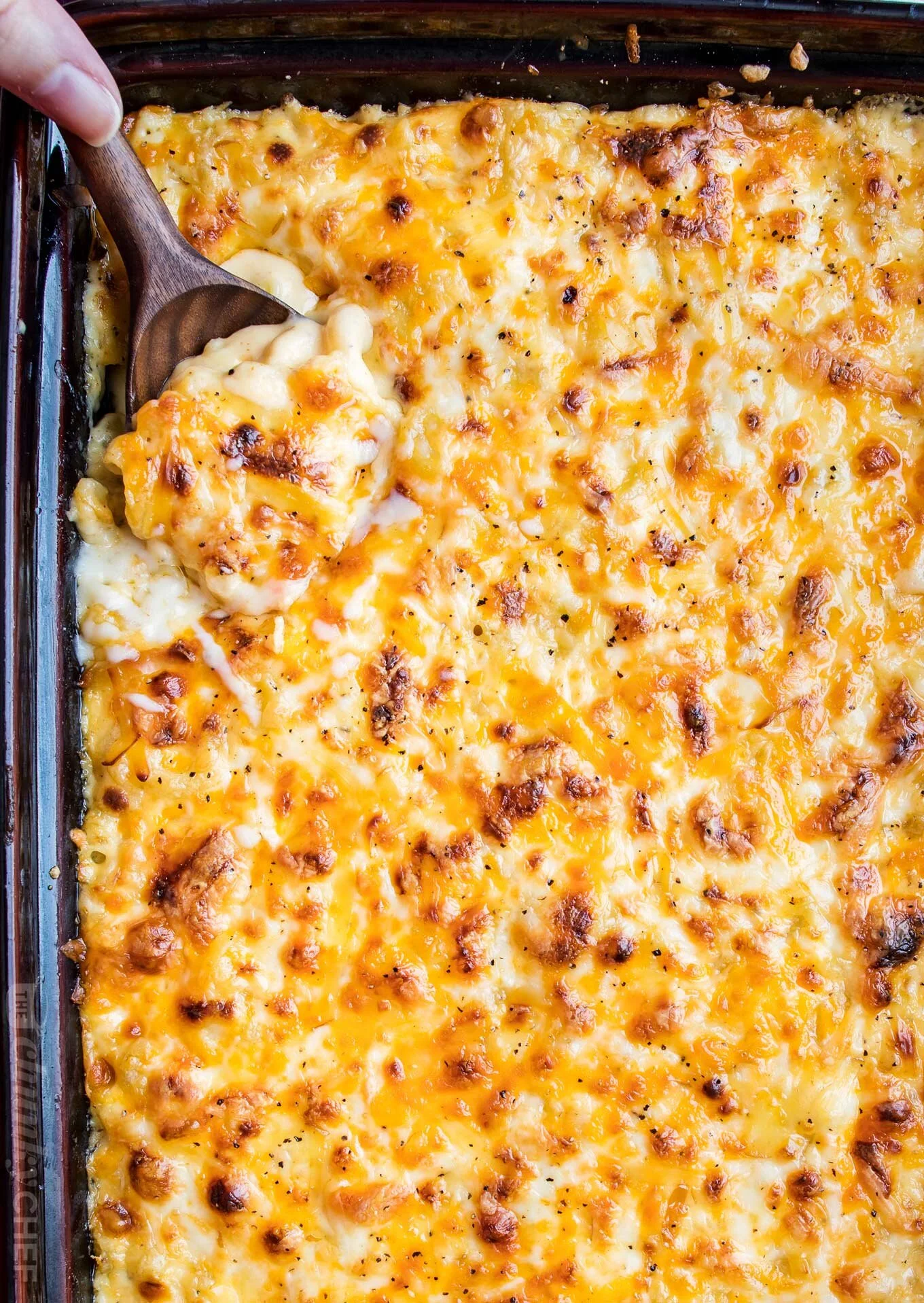 5 Cheese Mac &amp; Cheese 