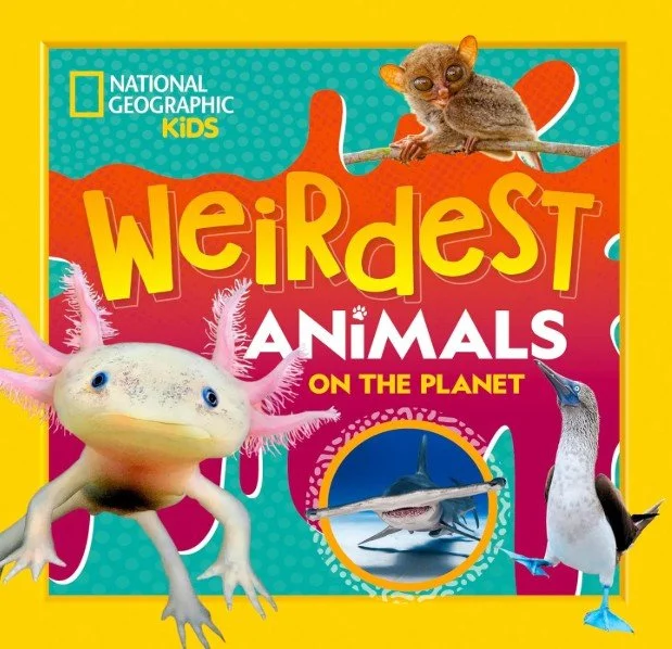 Weirdest Animals on the Planet