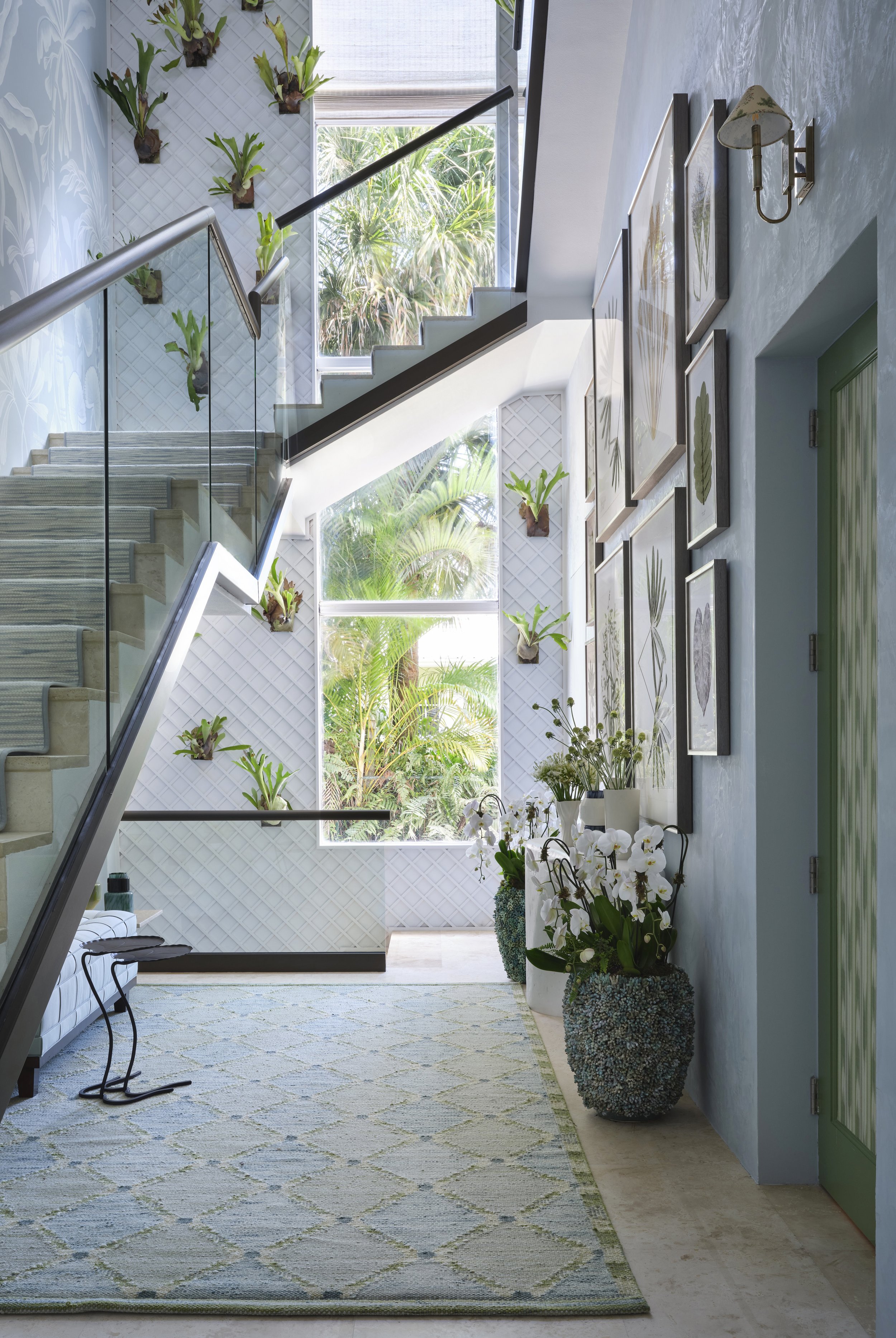 Climbing Staghorn Ferns &amp; Palms Passage by MELROSE
