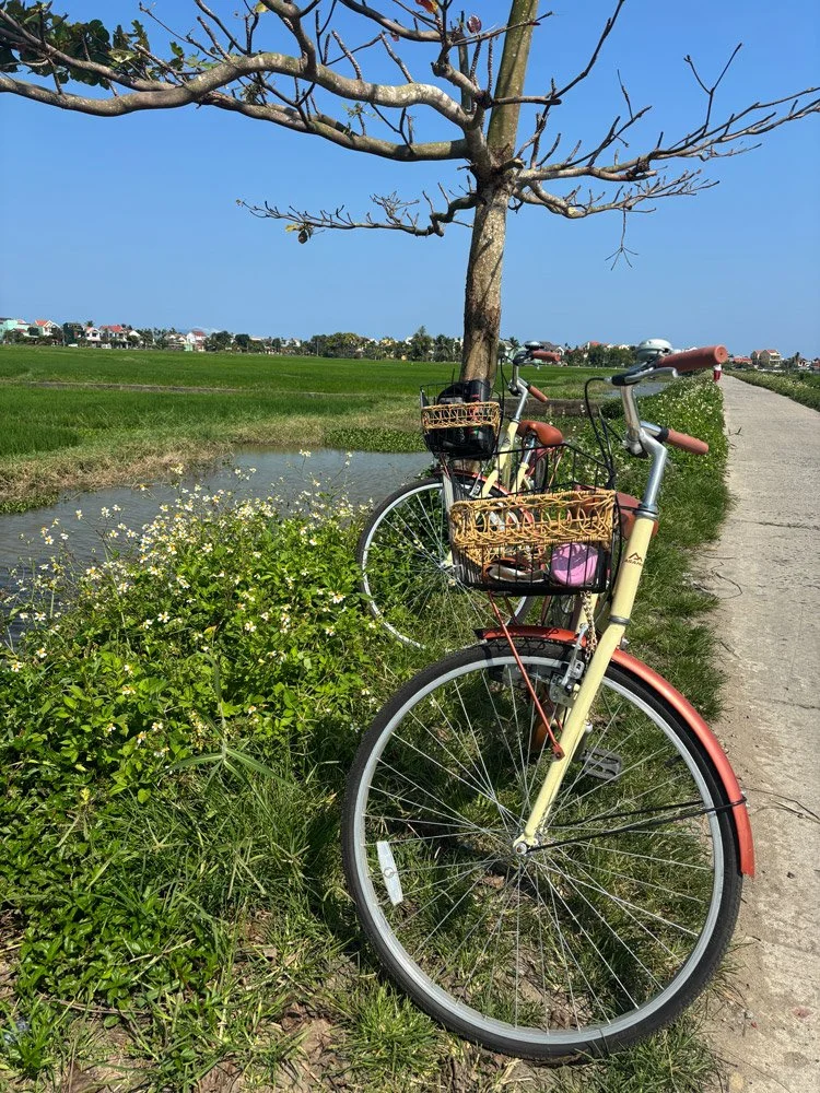 Hoi An Travel Guide Cycling