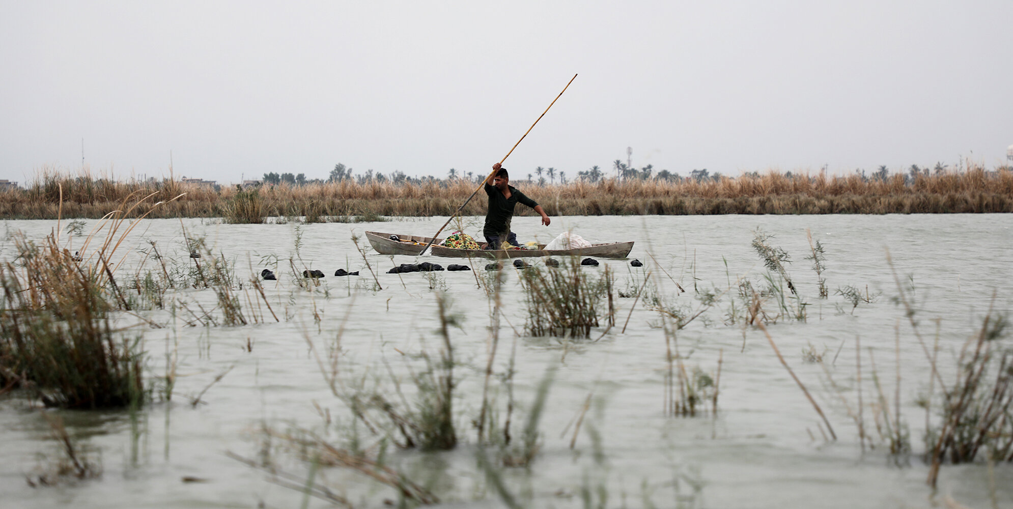 Rivers of Discord: Iraq's Water Crisis | Basra, Mesopotamian Marshes, Iraq | Anastasia Trofimova