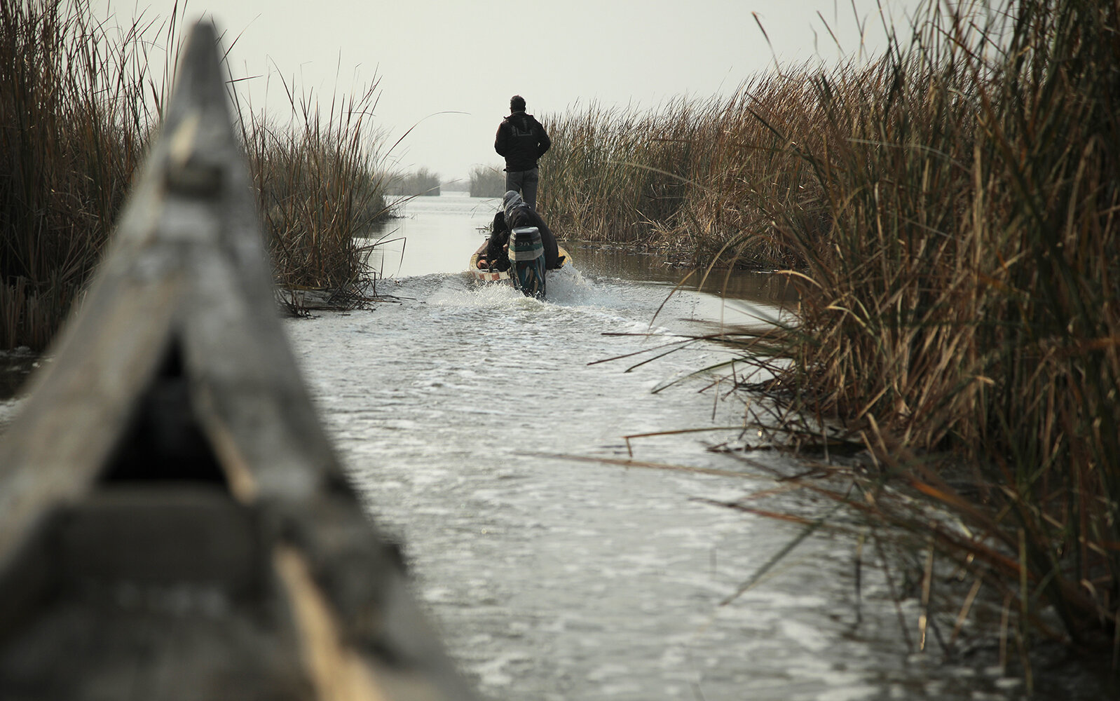 Rivers of Discord: Iraq's Water Crisis | Basra, Mesopotamian Marshes, Iraq | Anastasia Trofimova