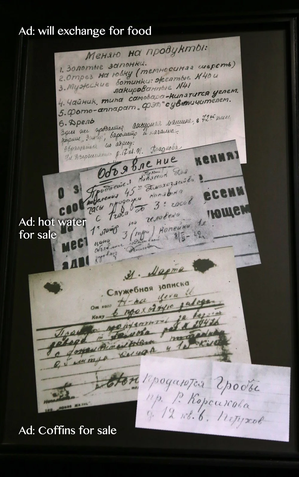 Champions of the Spirit | Anastasia Trofimova