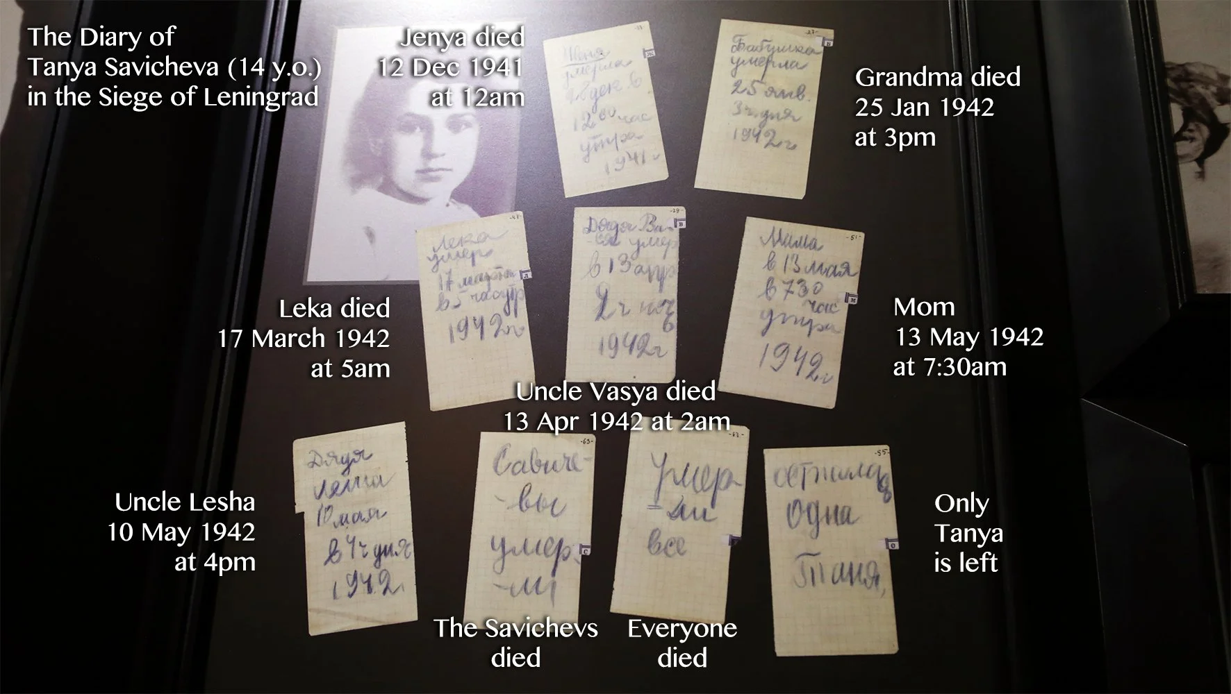 Champions of the Spirit | Anastasia Trofimova