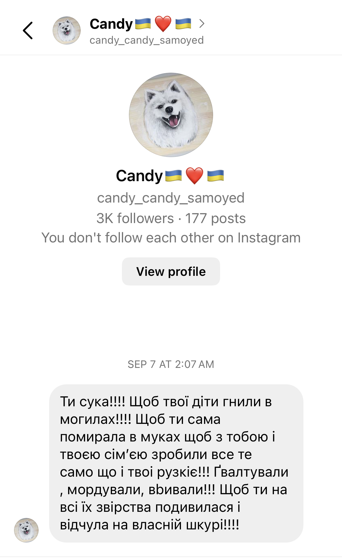 3 IG3.PNG