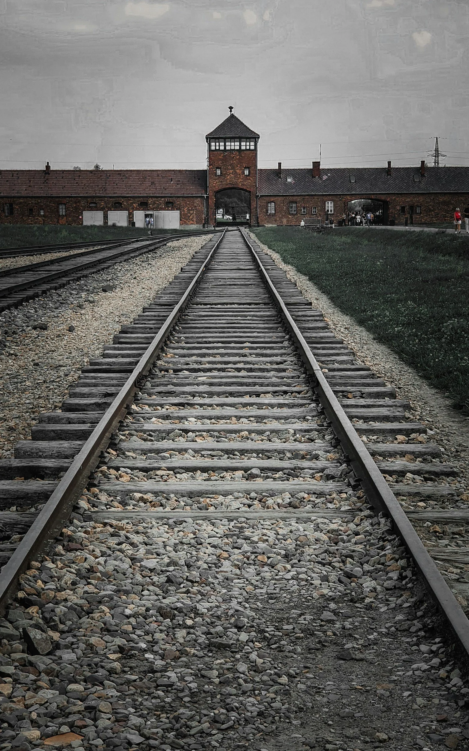 unsplash-image-cJu3c-dOw4U.jpg