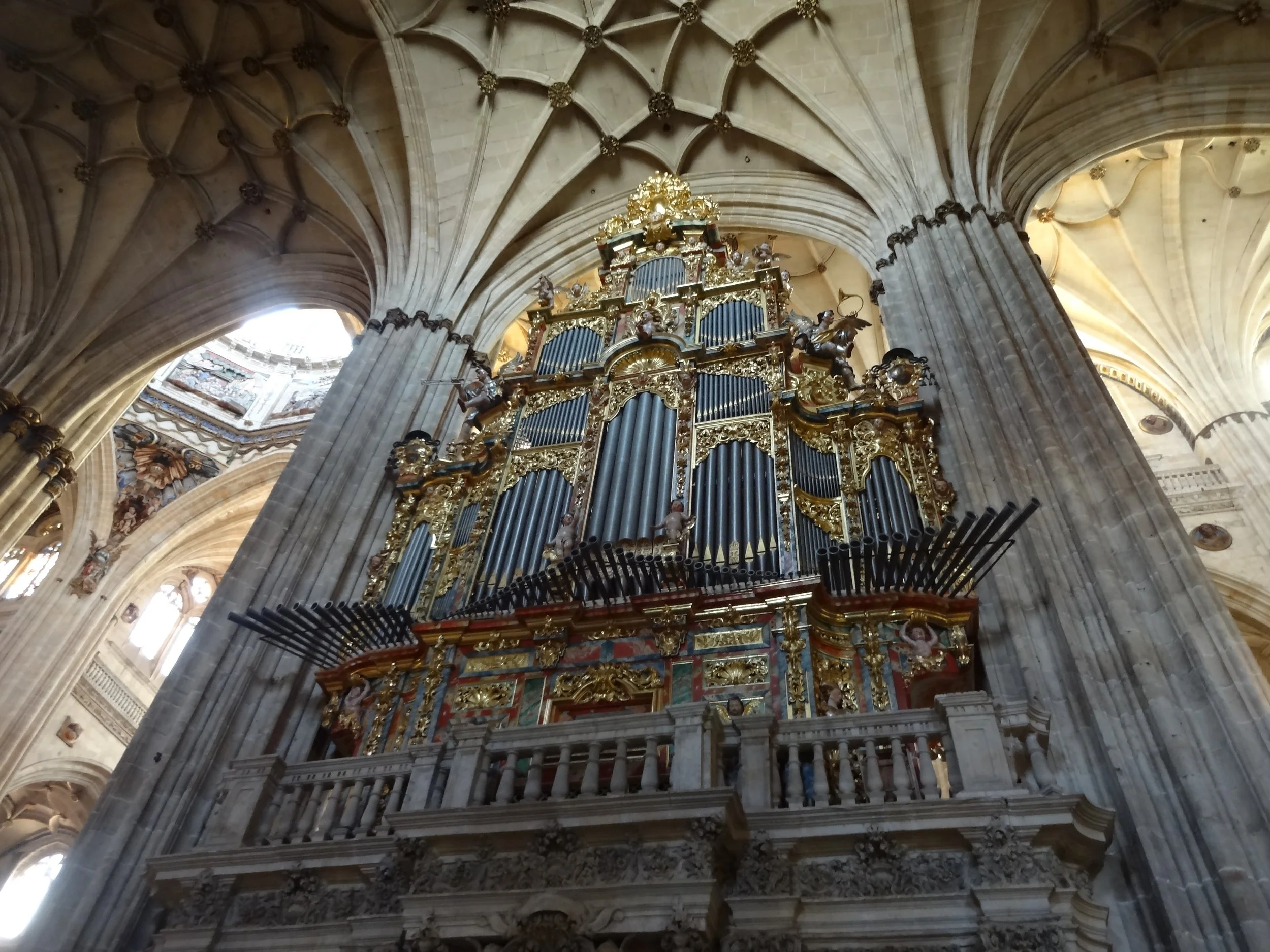 Salamanca. Cathedral. PXFL 2017. DSC00462.JPG