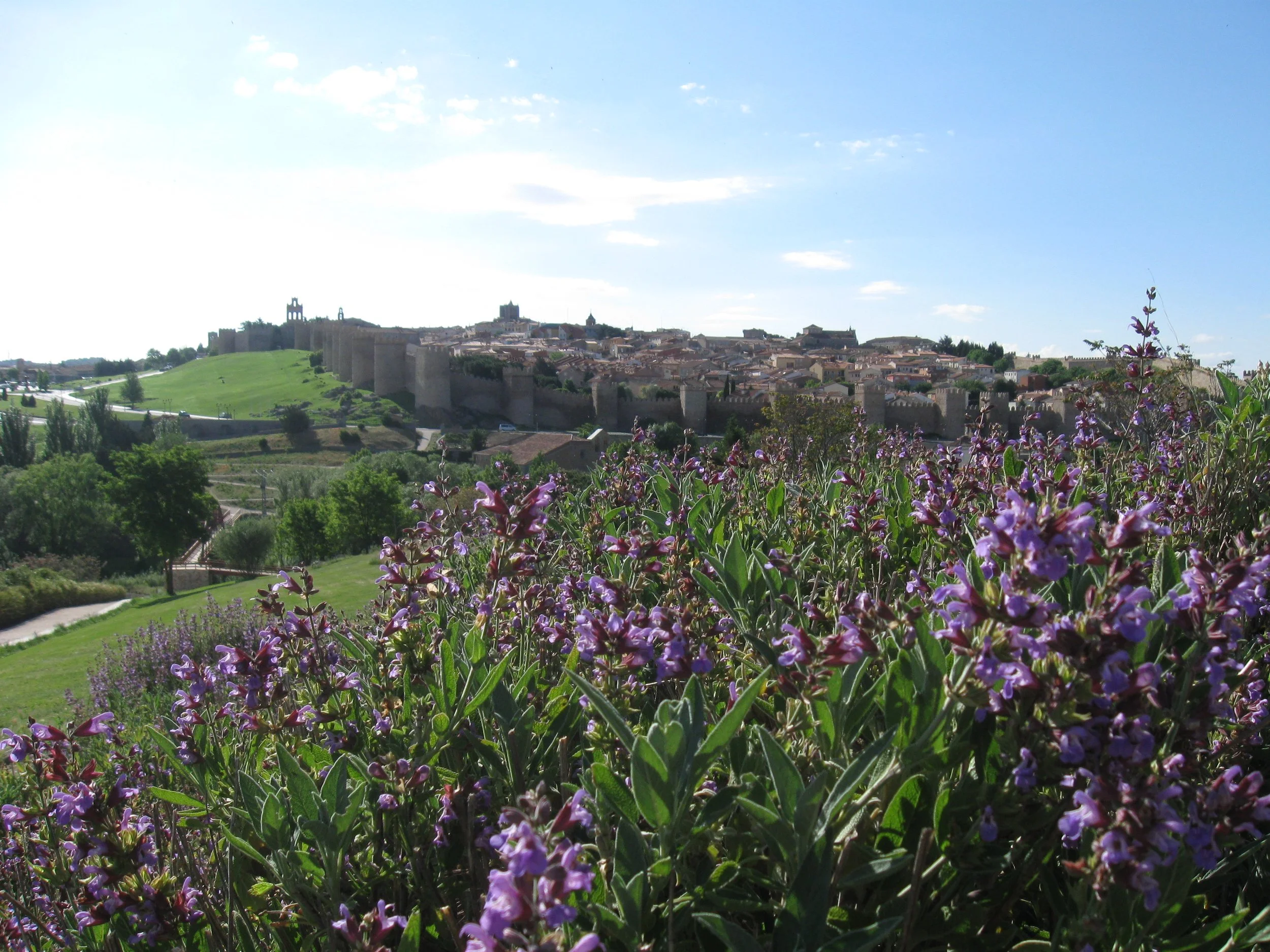 Avila. YP2017. MHone. 107.JPG