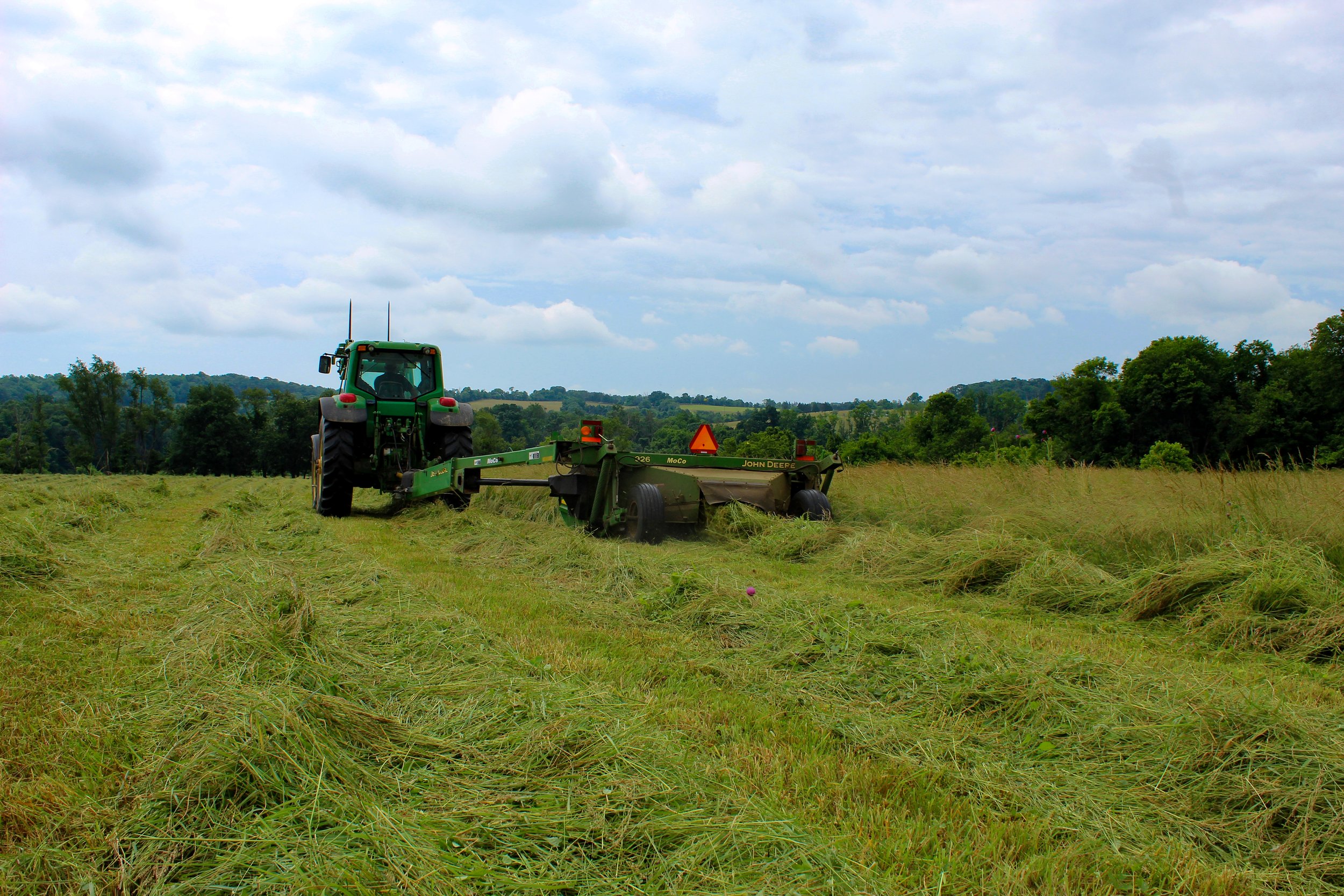 AF_Hay Making__06_05_2024_71.JPG