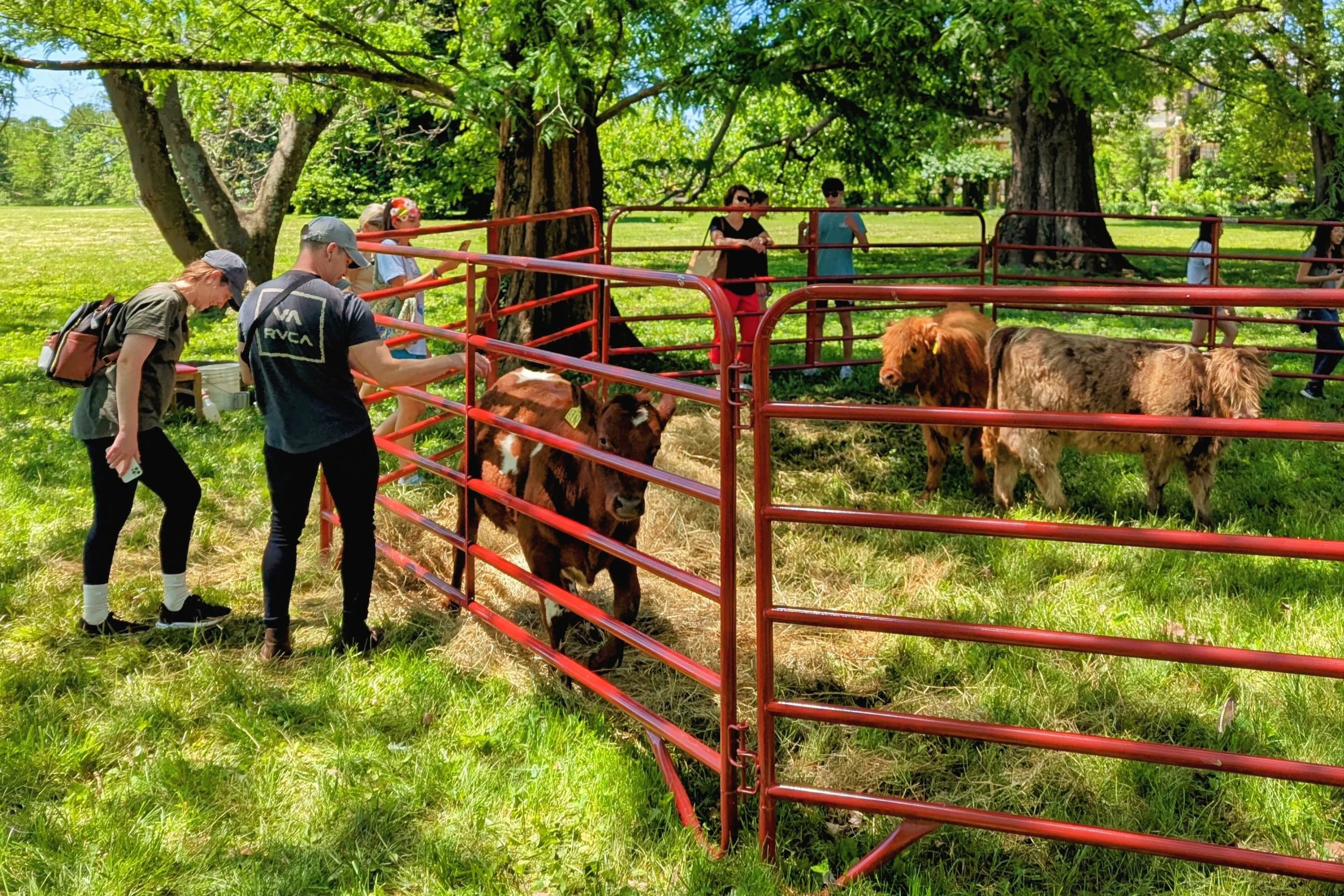 AF_Spring Farm Tour_051725_02.jpg
