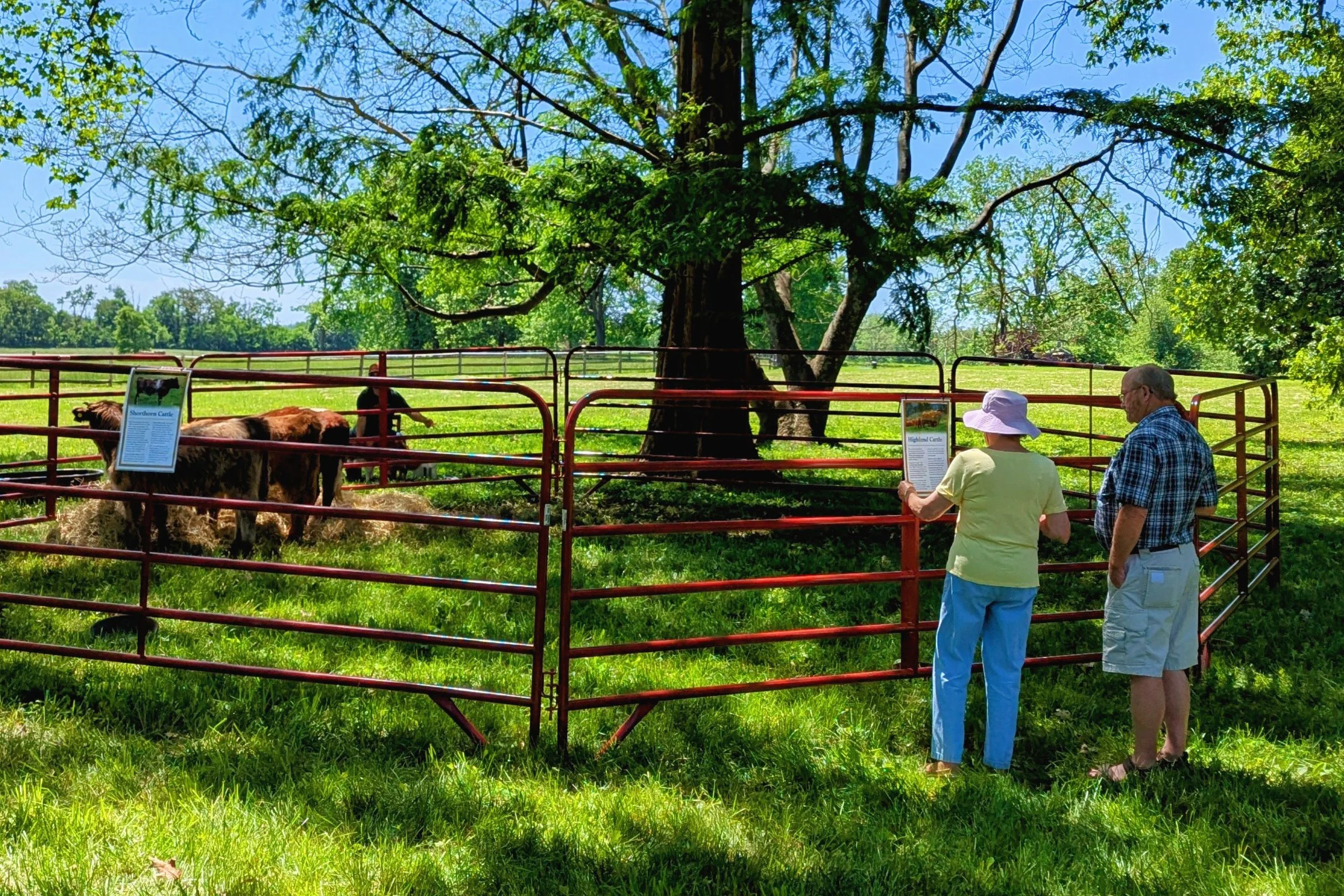 AF_Spring Farm Tour_051725_04.jpg