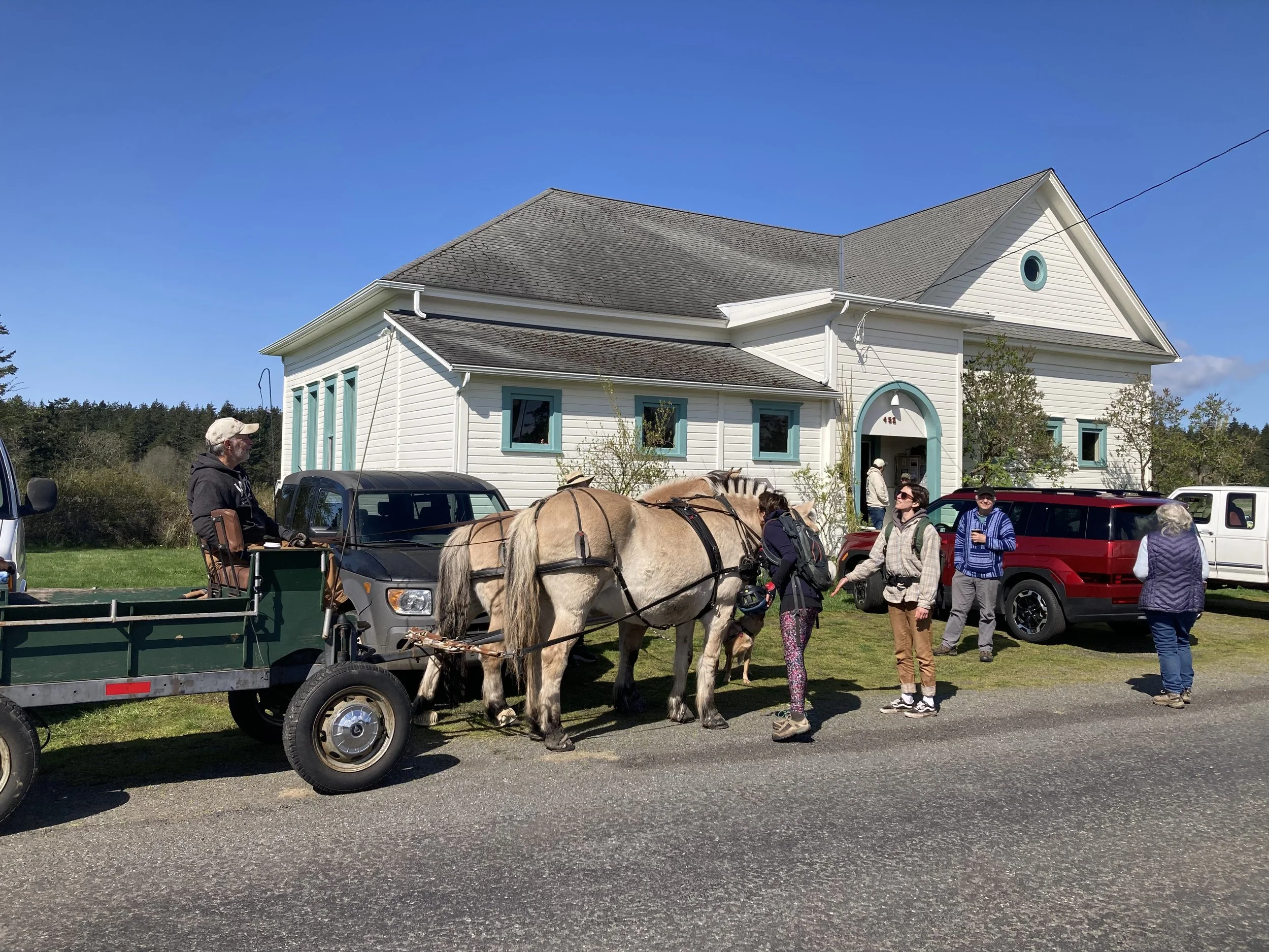 Horses at Grange.jpg