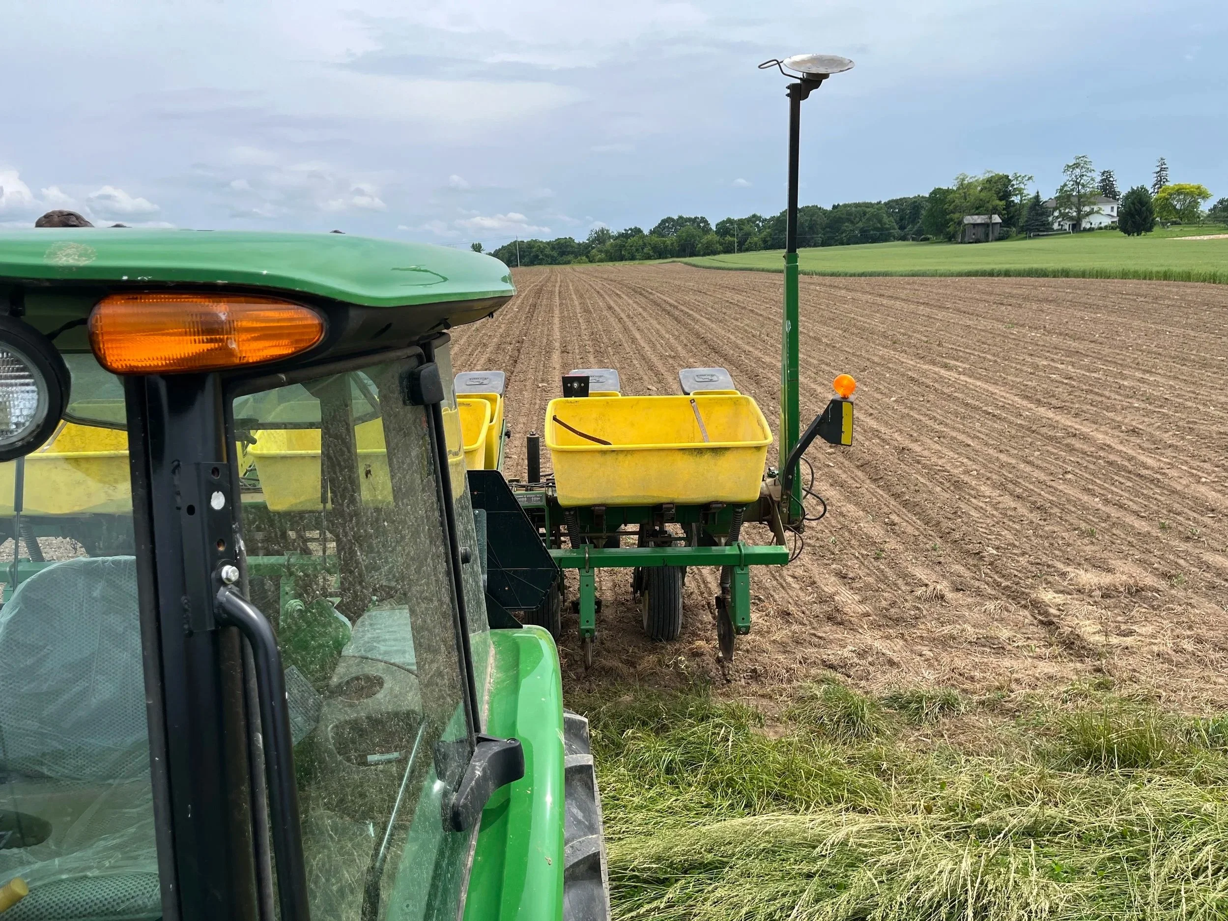 Sweetcorn planting at Morgan Farms