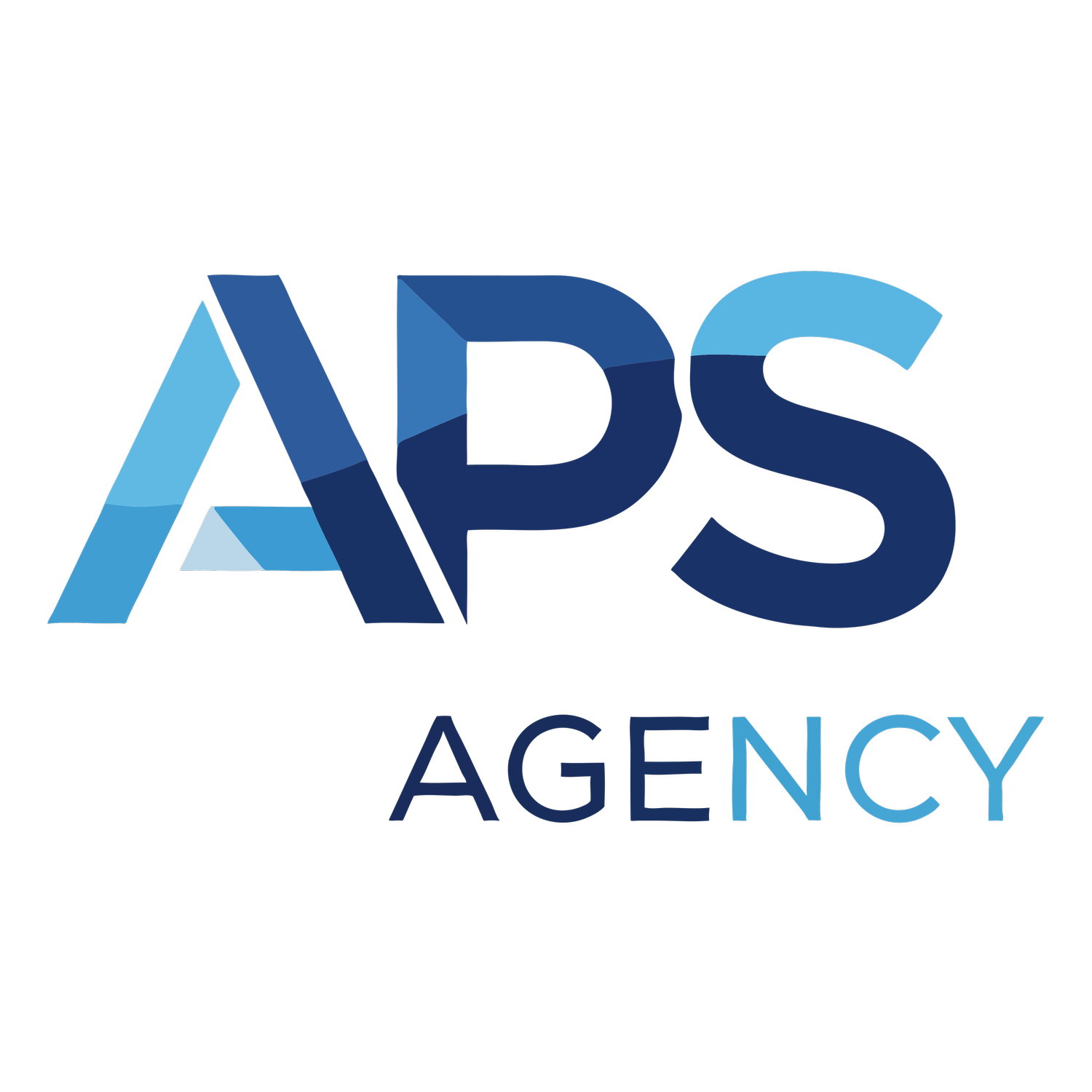 APS Agency