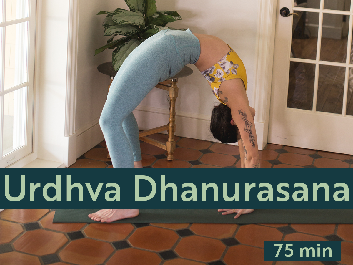 Explore the dynamics and subtleties of Urdhva Dhanurasana aka Wheel or Upward-Facing Bow in this expansive heart-opening practice.