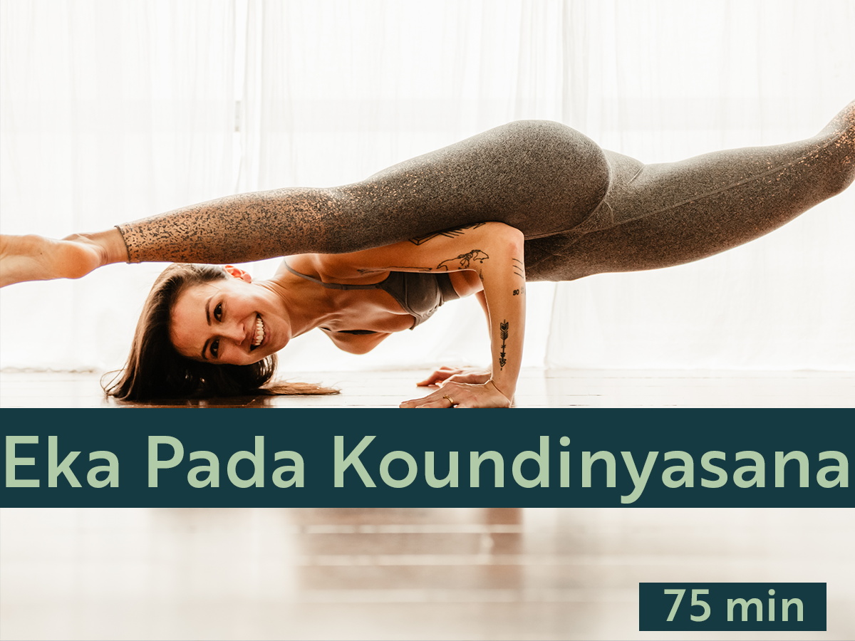 Eka Pada Koundinyasana A+B are the focal points of this invigorating practice; we'll learn how to approach each variation independently before putting it all together in a fun transition between the two.