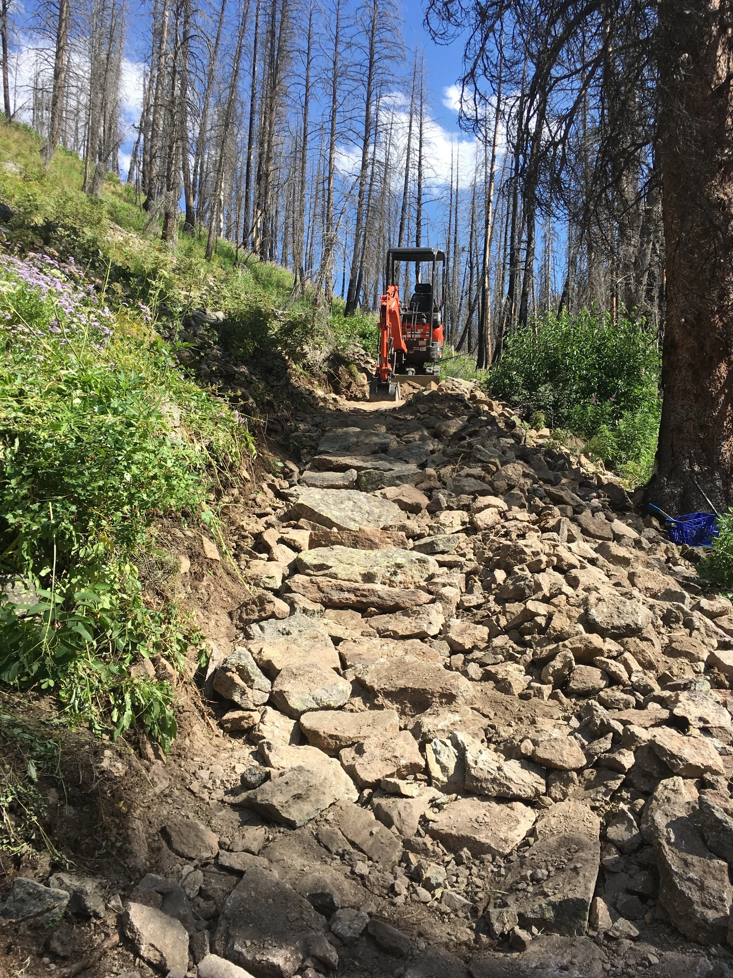 Alden Gultch Rock Garden