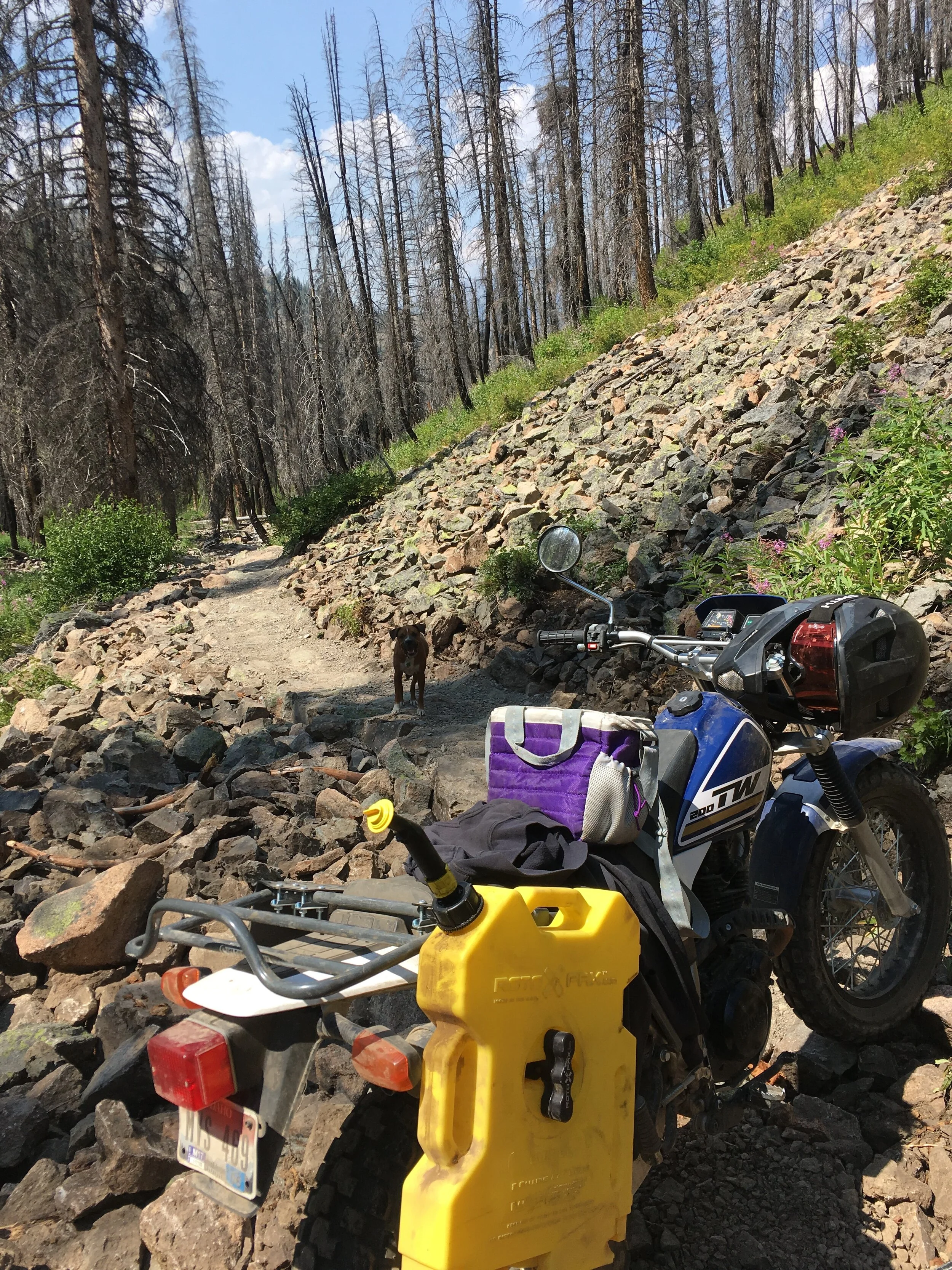 Alden Gulch TW + Beardog