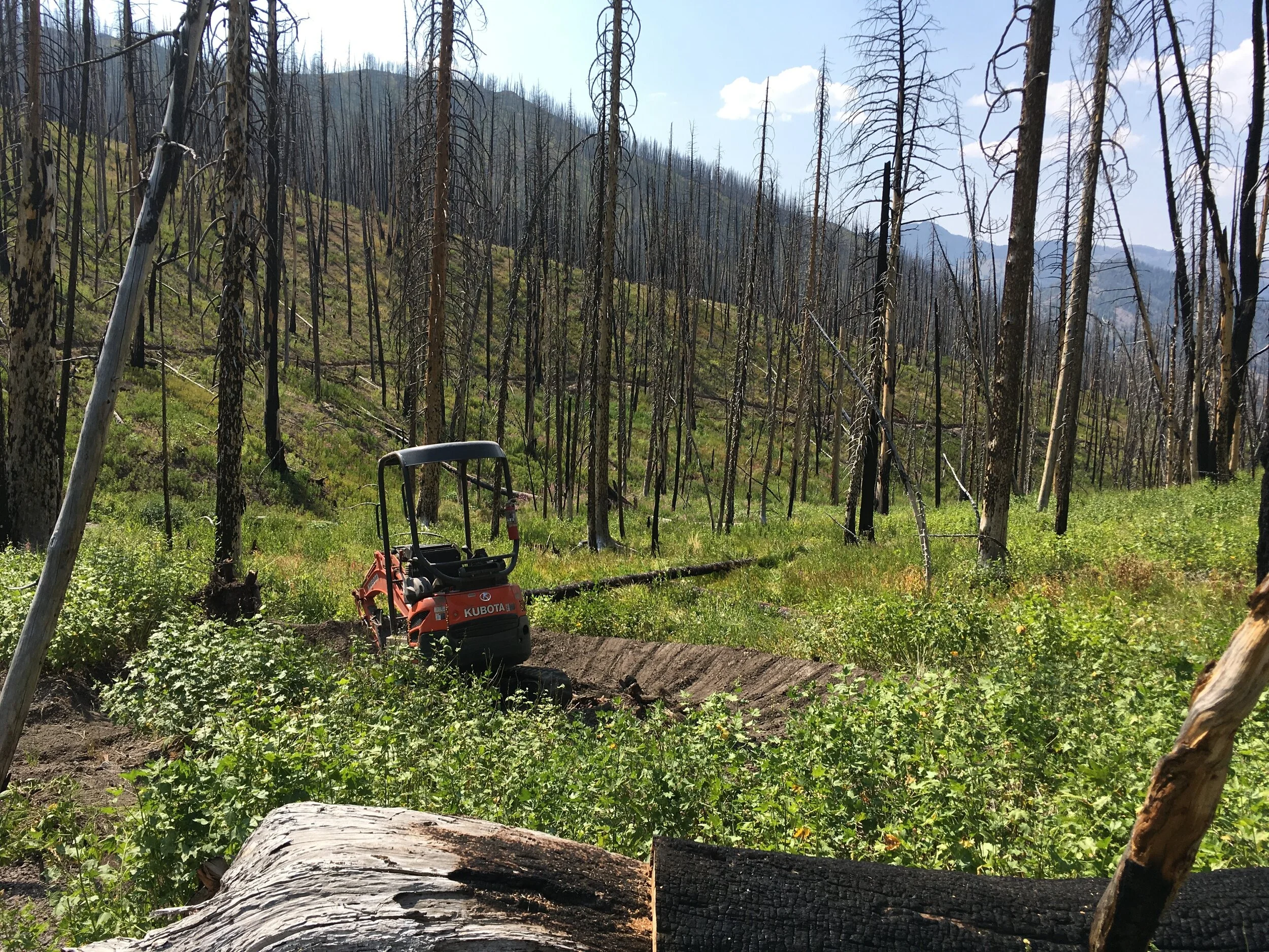 Alden Gulch Berm 1
