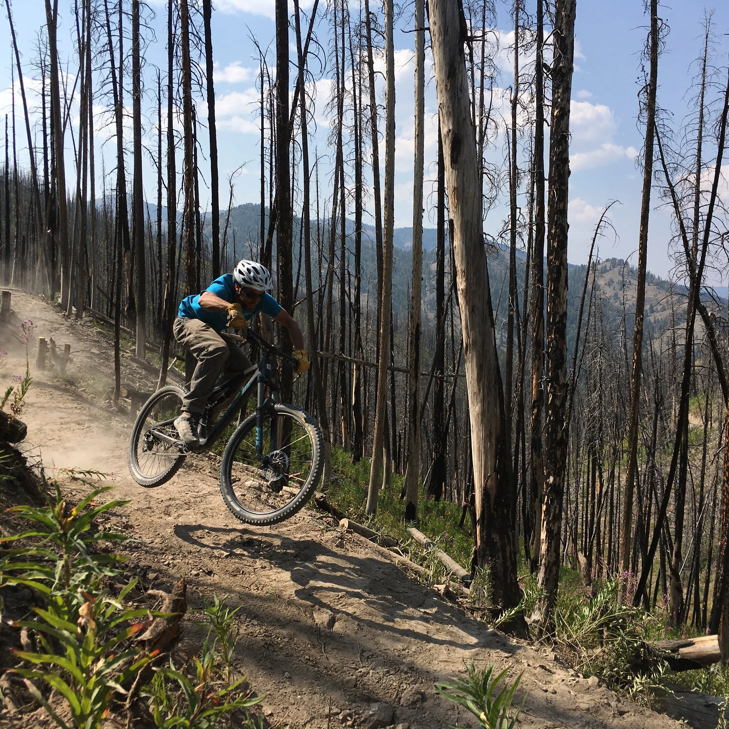 Alden Gulch Tabletop