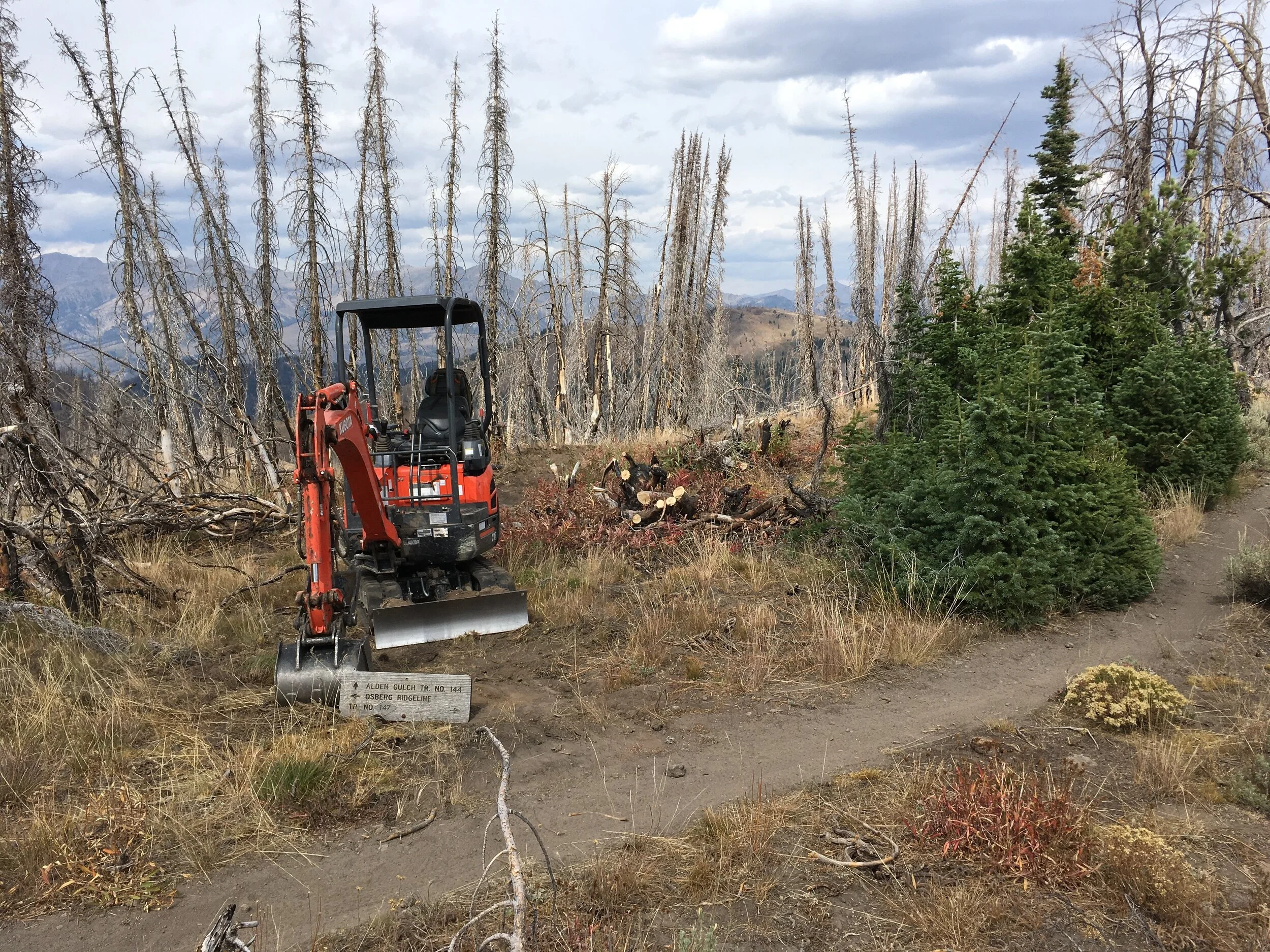 Alden Gulch top out