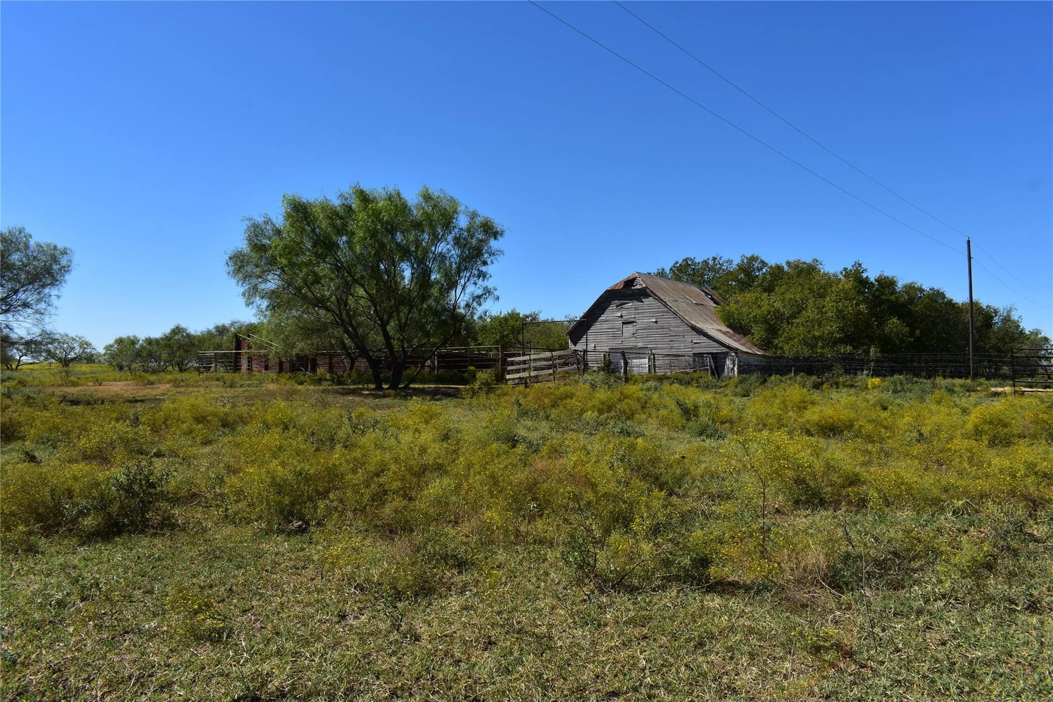 red-river-realty-nocona-texas-land-ranch-carpenter-road-gary-eldred-7.jpeg