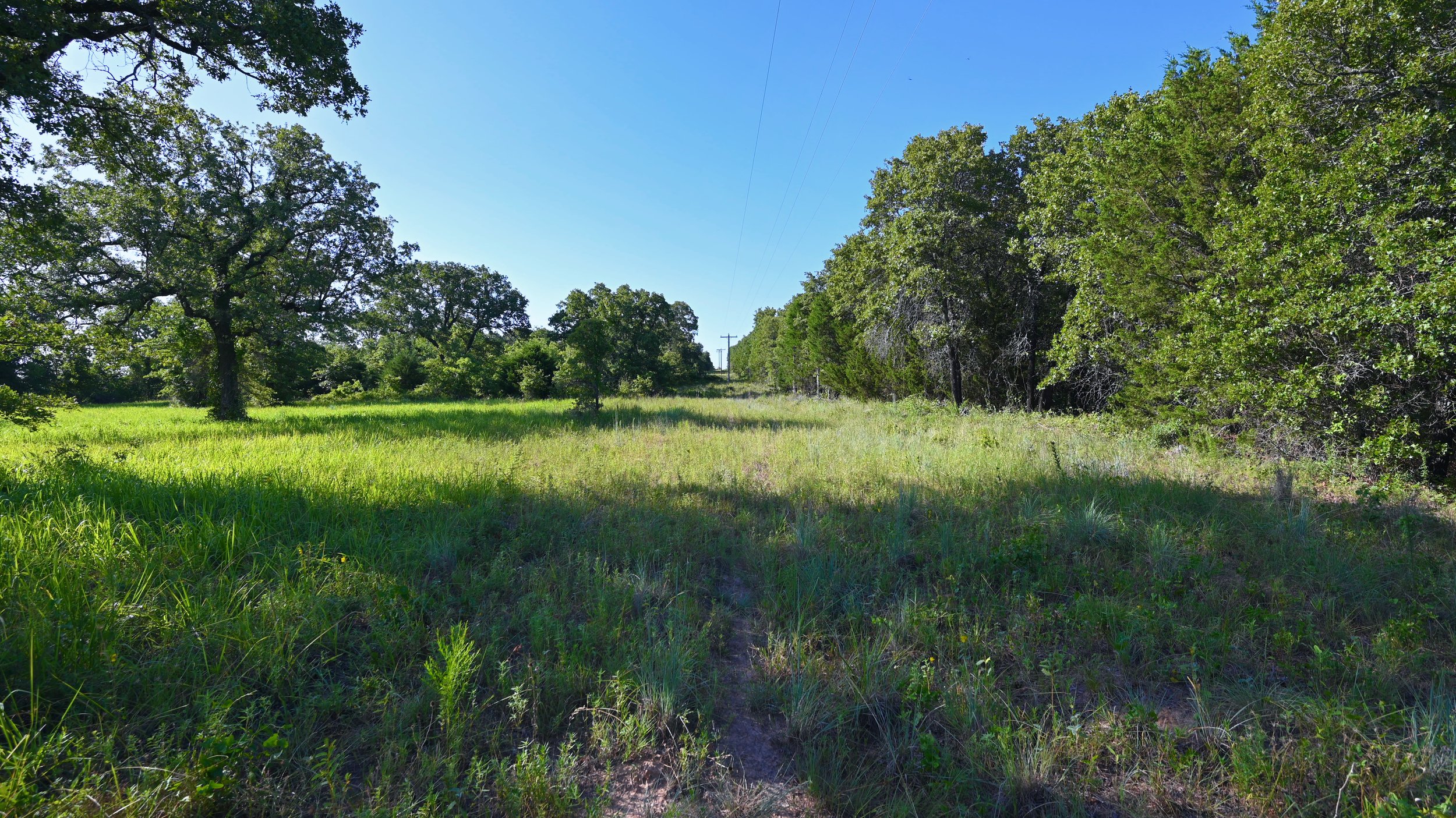 14.1 Acres Scout Ranch South - 2.jpeg